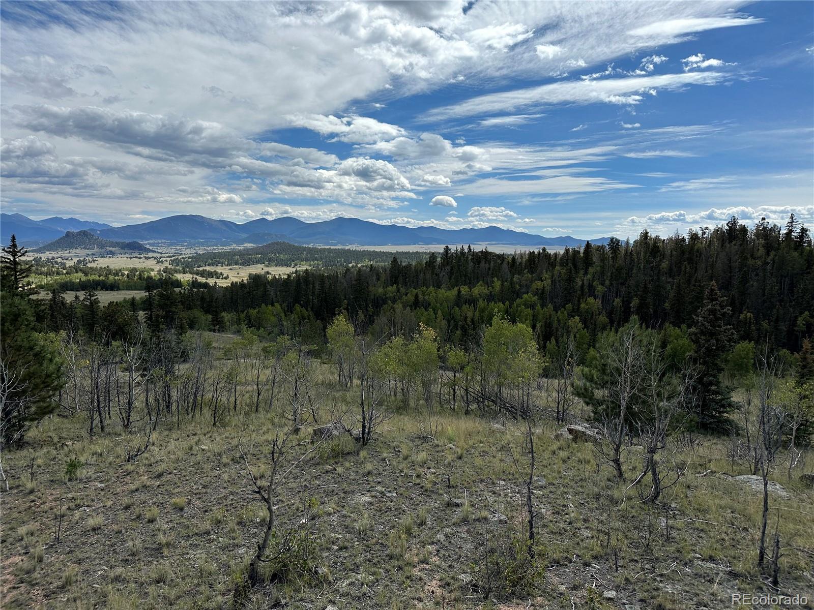 712 Red Cloud Drive Como, CO 80456 - Photo 6 of 15