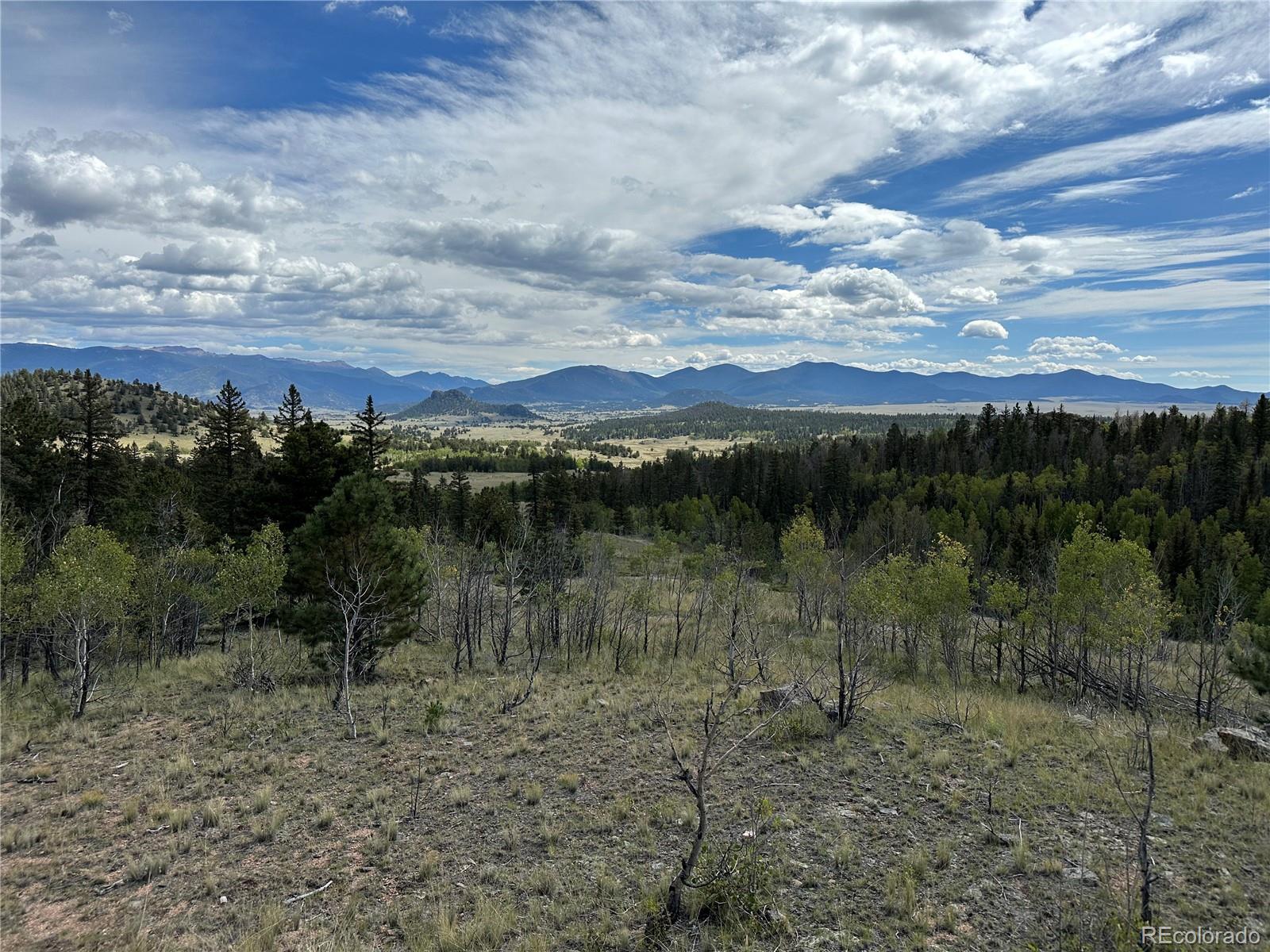 712 Red Cloud Drive Como, CO 80456 - Photo 7 of 15