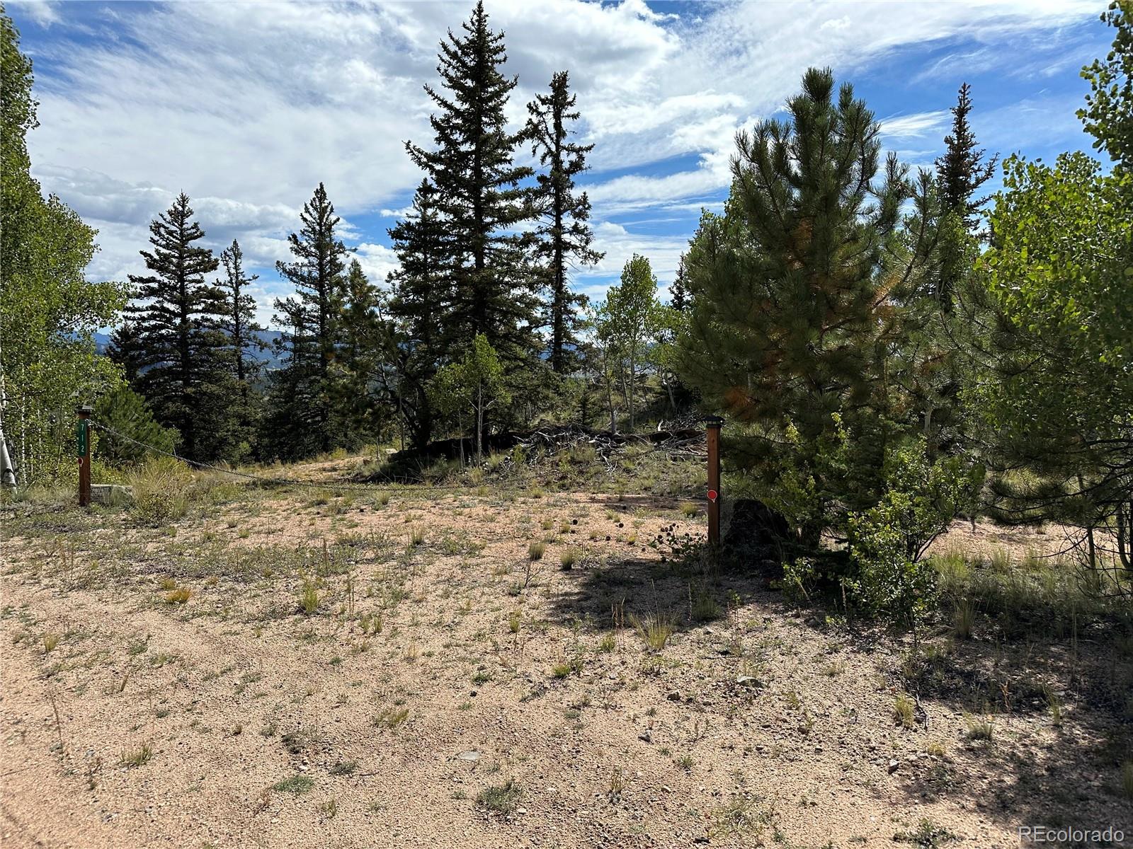 712 Red Cloud Drive Como, CO 80456 - Photo 9 of 15