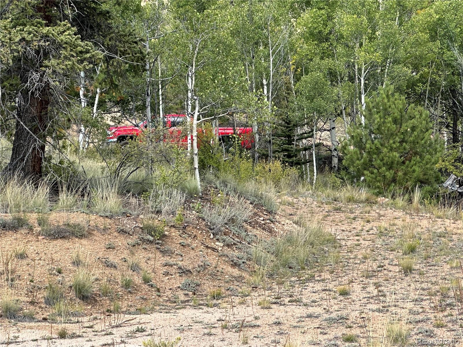 712 Red Cloud Drive Como, CO 80456 - Photo 10 of 15