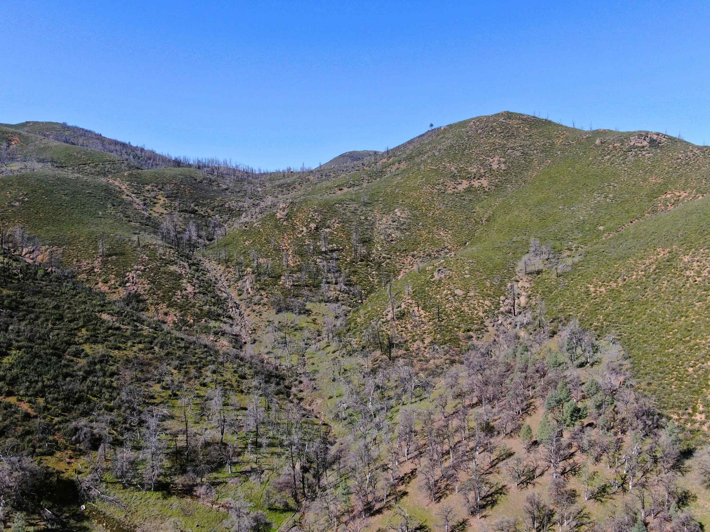 0 Tedoc Road Red Bluff, CA 96080 - Photo 17 of 18