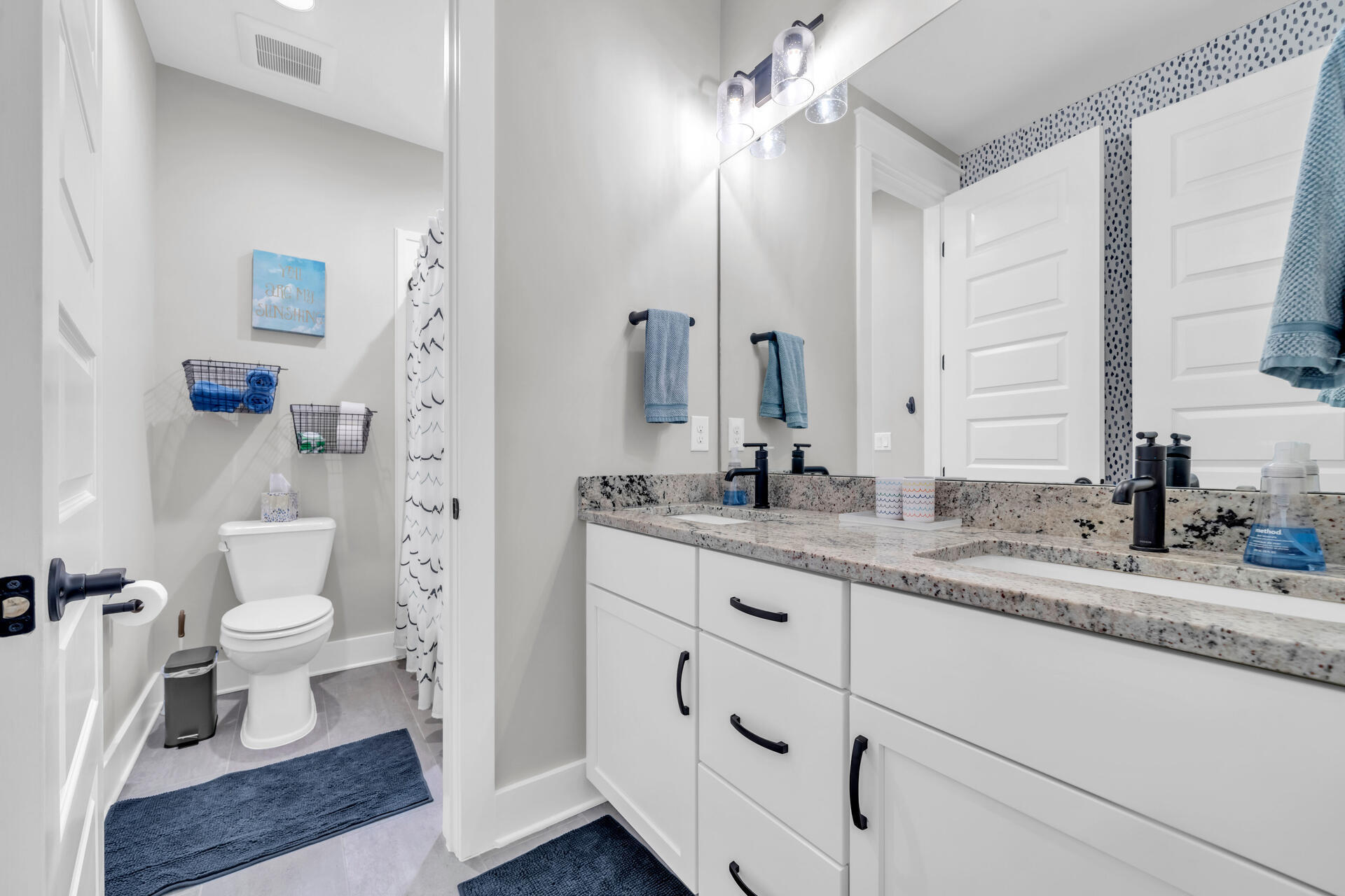 1244 Elderflower Drive Niceville, FL 32578 - Photo 49 of 74 a bathroom with a granite countertop toilet sink and mirror