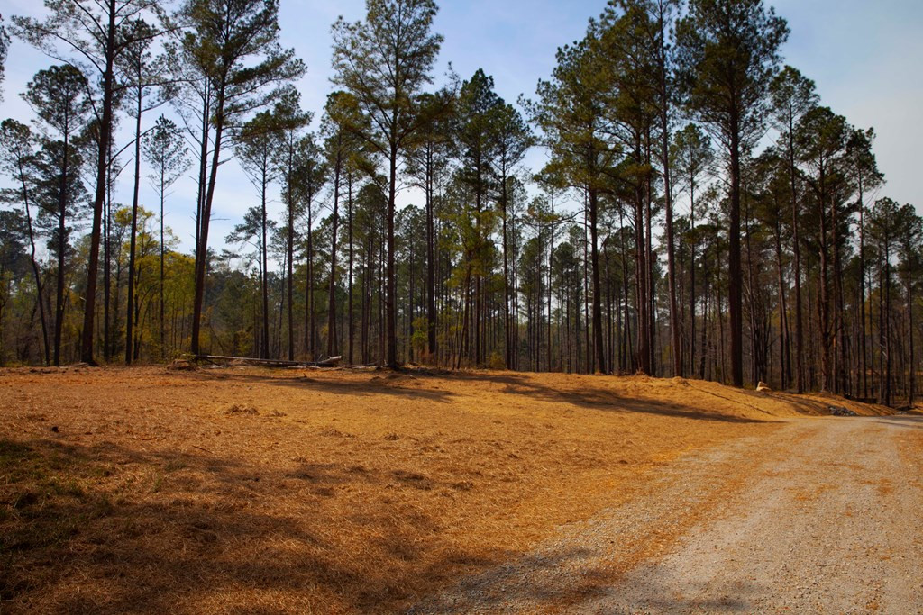 150 Lk Rdg Trail Appling, GA 30802 - Photo 2 of 3