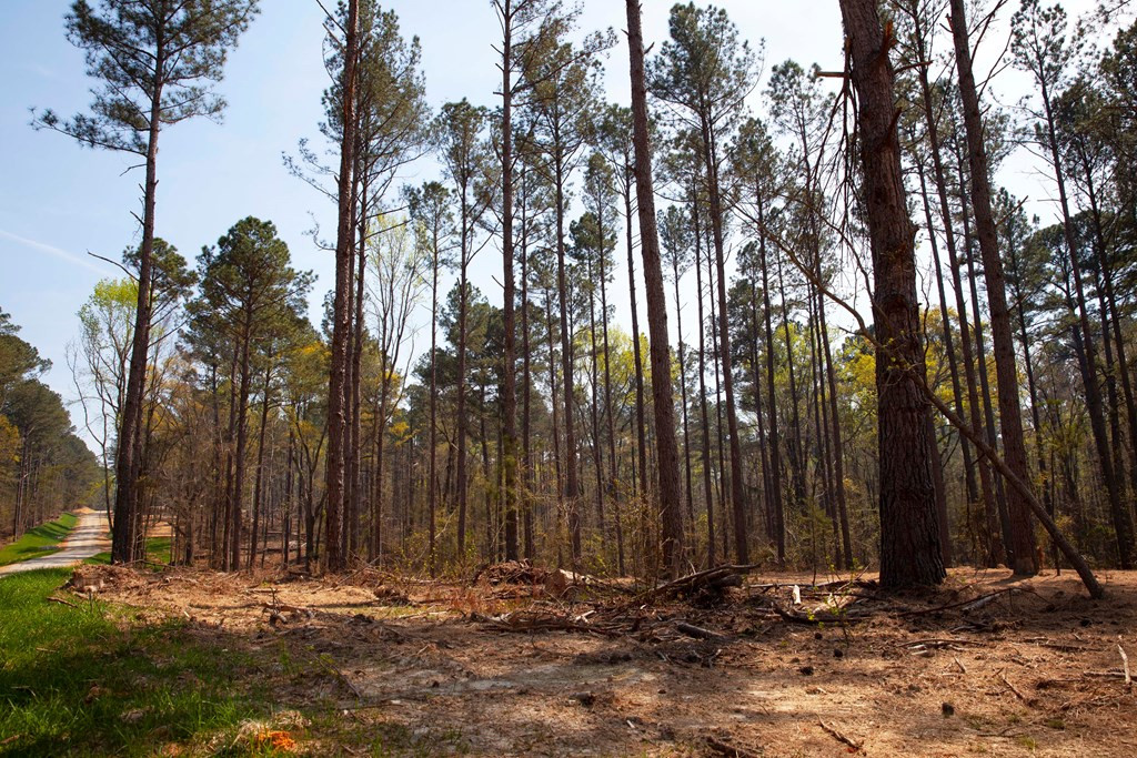 150 Lk Rdg Trail Appling, GA 30802 - Photo 3 of 3