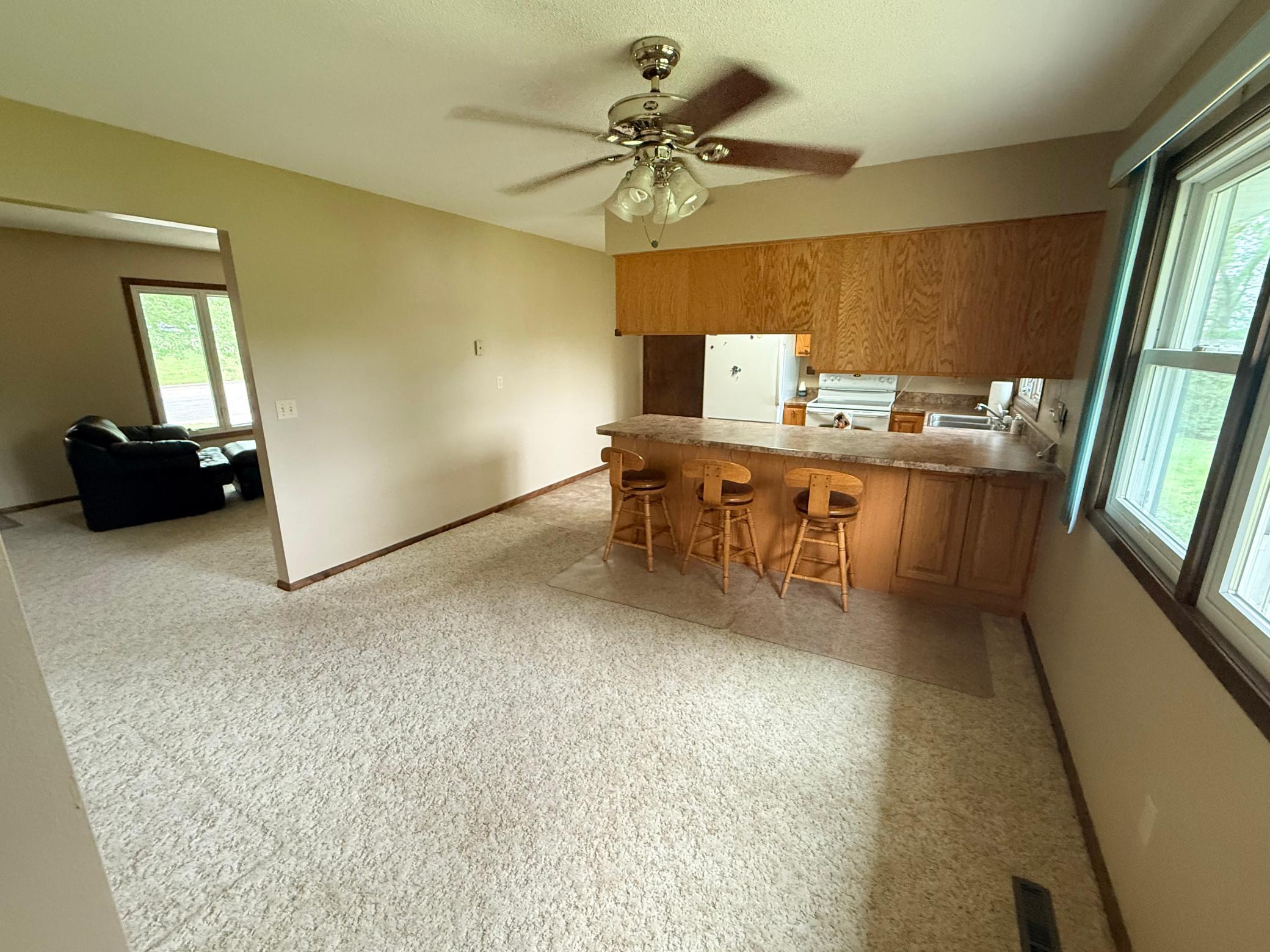 830 Clark Street Walnut Grove, MN 56180 - Photo 3 of 34