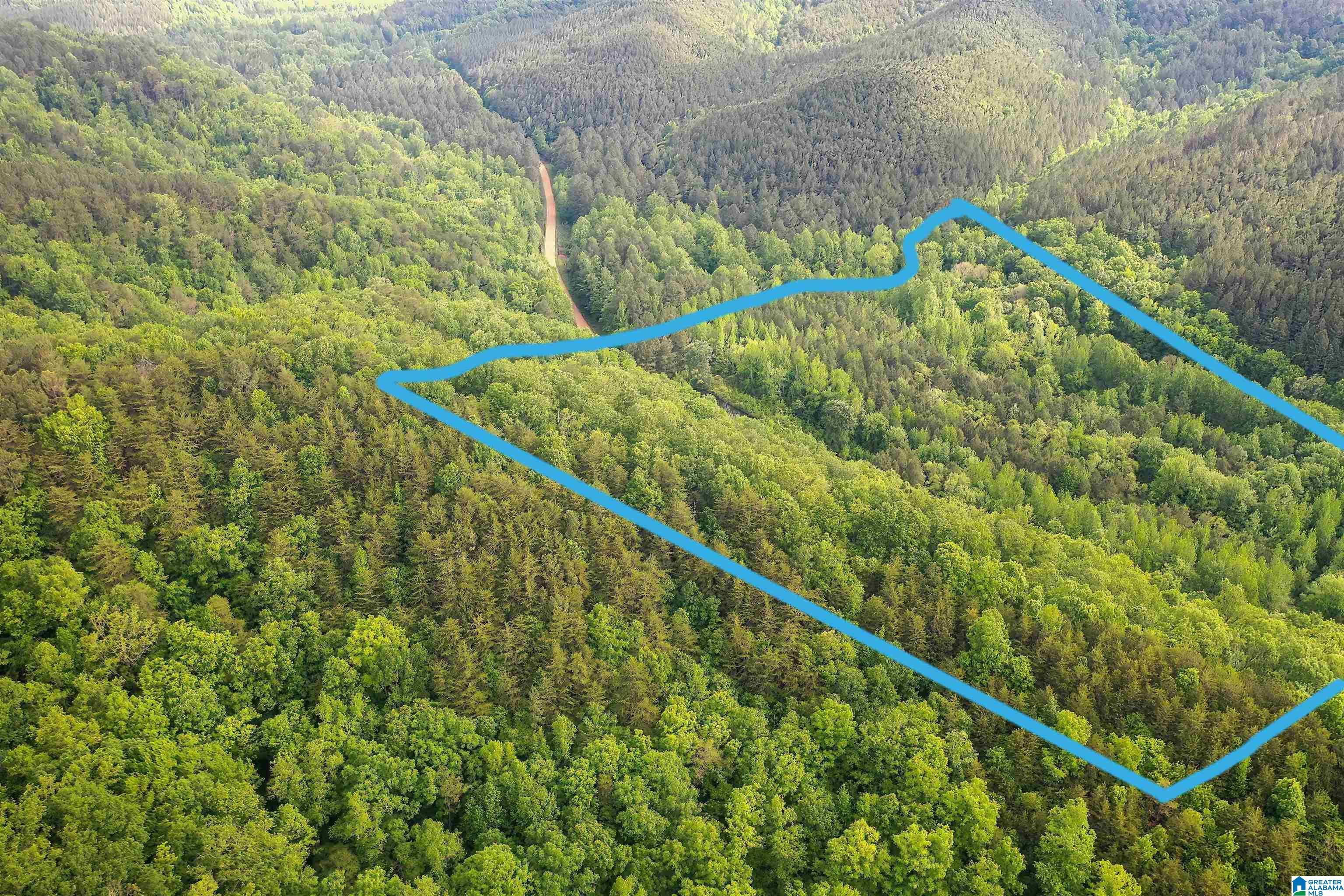 0 Wolf Creek Road Carbon Hill, AL 35549 - Photo 9 of 29