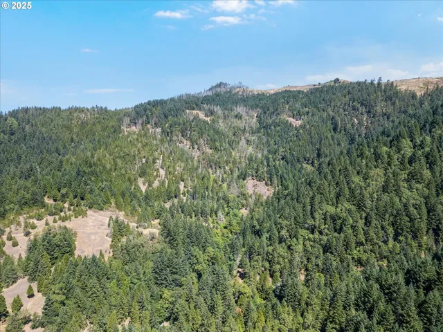a view of a mountain from a yard