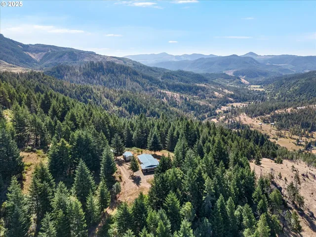 a view of a forest with mountains in the background