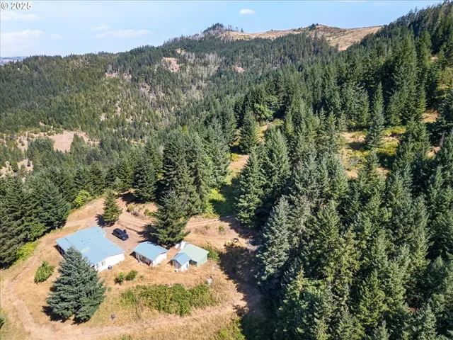 a view of a lot of trees and houses