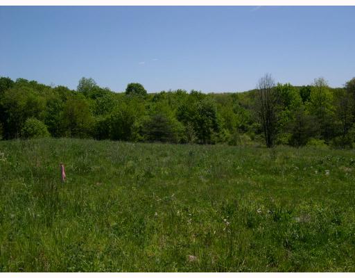 197 Mary Reed Road Economy, PA 15005 - Photo 3 of 7 Land/Lot. Beautiful Land