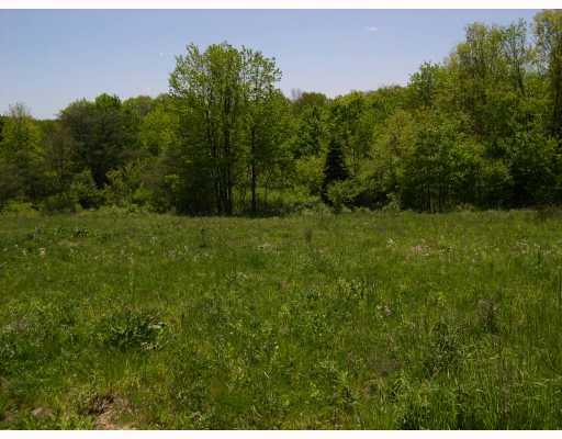 197 Mary Reed Road Economy, PA 15005 - Photo 4 of 7 Land/Lot. Beautiful level lot