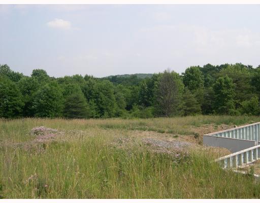 197 Mary Reed Road Economy, PA 15005 - Photo 6 of 7 Interior Space/Layout. Back yard