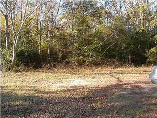 548 Tedder Road East DeFuniak Springs, FL 32433 - Photo 1 of 1 a view of dirt yard and mountain view