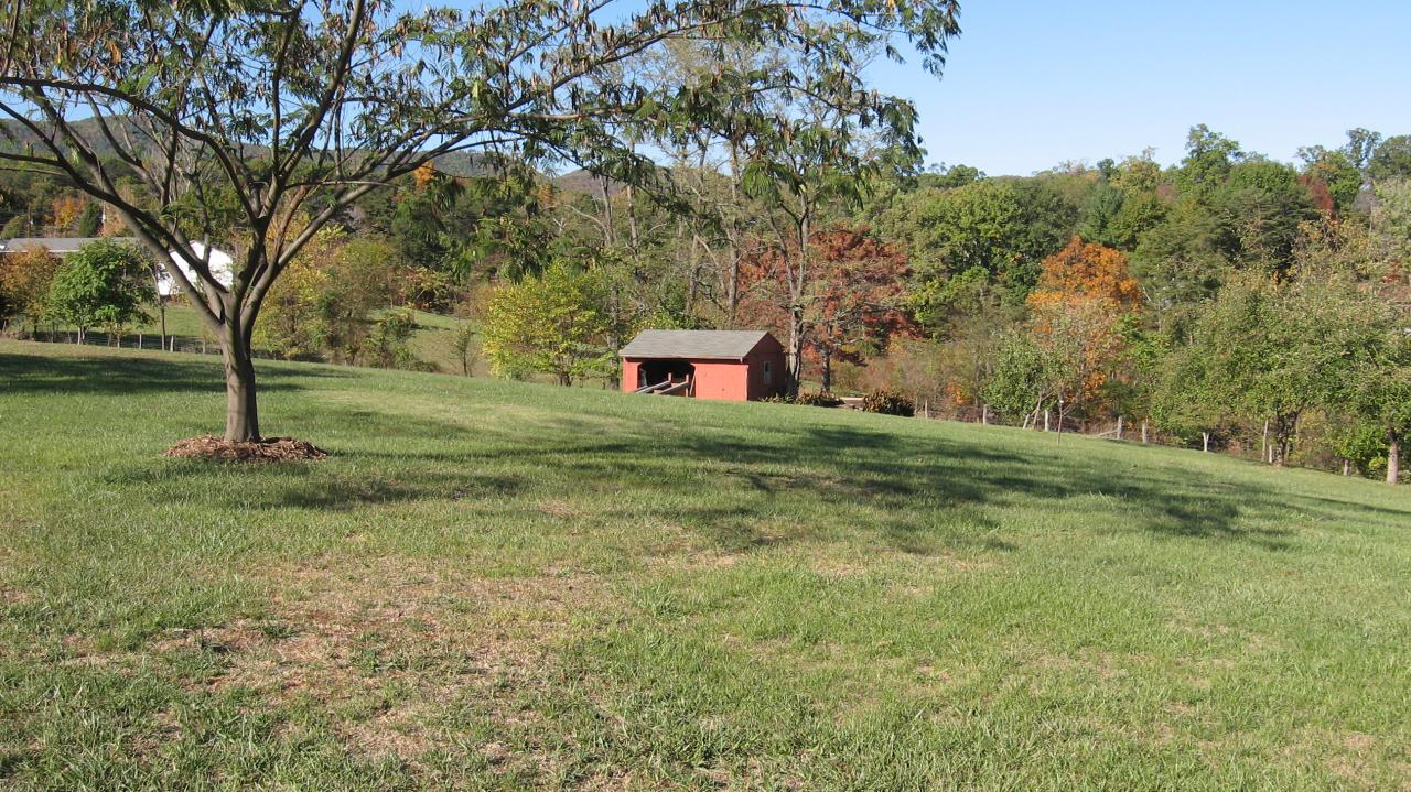 167 Stonebridge Drive Blue Ridge, VA 24064 - Photo 4 of 4 a view of a backyard with large trees