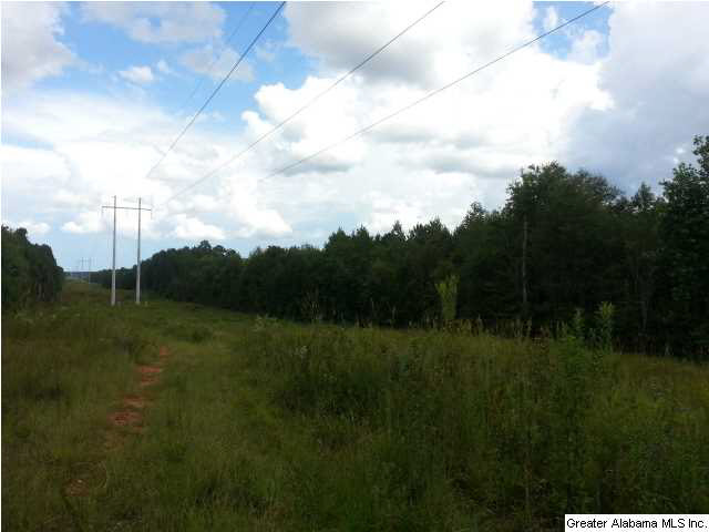 Oak Grove Road, Unit 72AC Lineville, AL 36266 - Photo 1 of 6