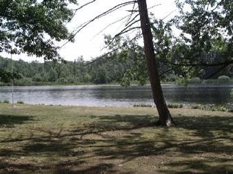 178 North Jack Pine Road Fountain, MI 49410 - Photo 2 of 7 Additional Photo