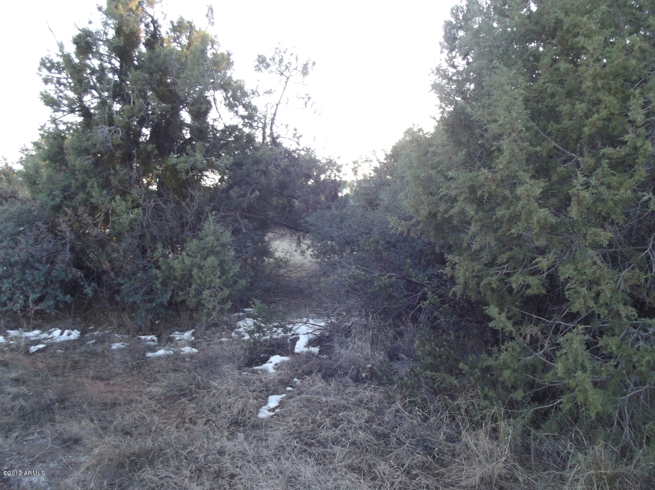 173 West Gunsight Ridge, Unit 173 Payson, AZ 85541 - Photo 4 of 5 C:\fakepath\001