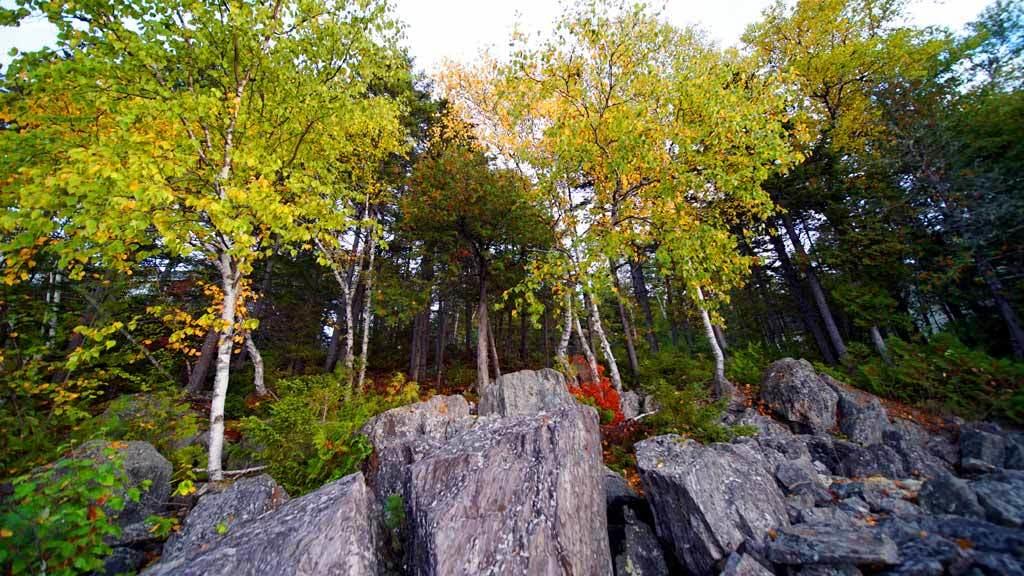 93 South Shore Road Linneus, ME 04730 - Photo 38 of 47 lake-land-waterfront-93