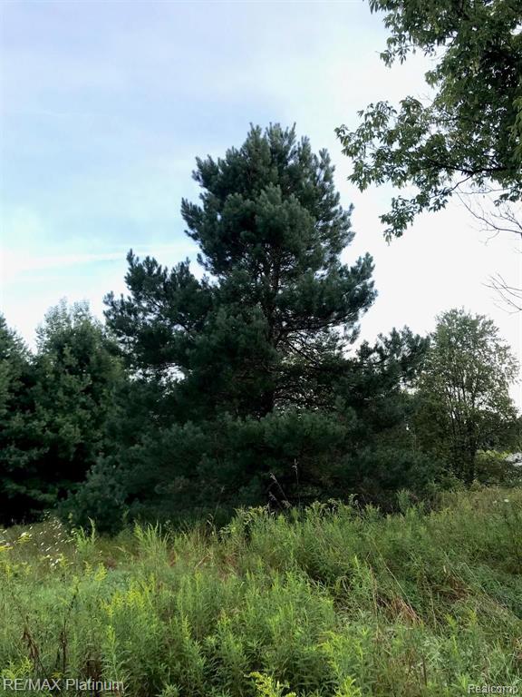 2 Hacker Brighton, MI 48114 - Photo 10 of 16
