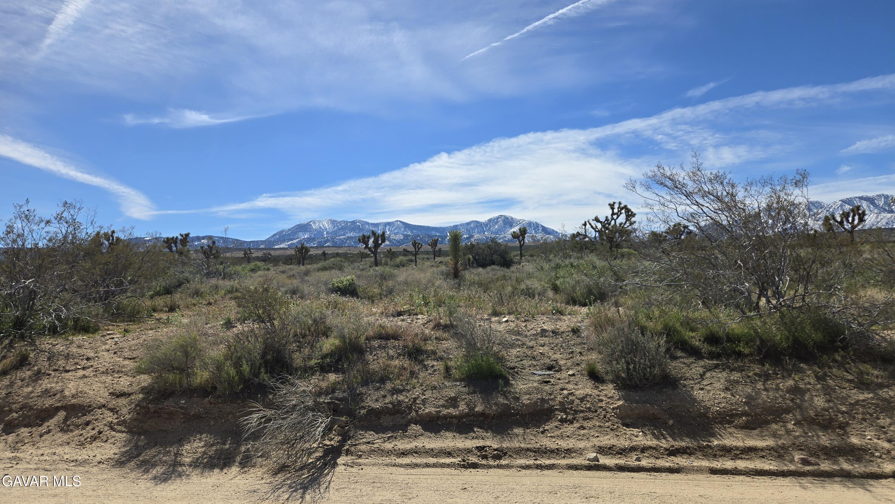 Fort Tejon Road East Llano, CA 93544 - Photo 11 of 50 20260224_110249