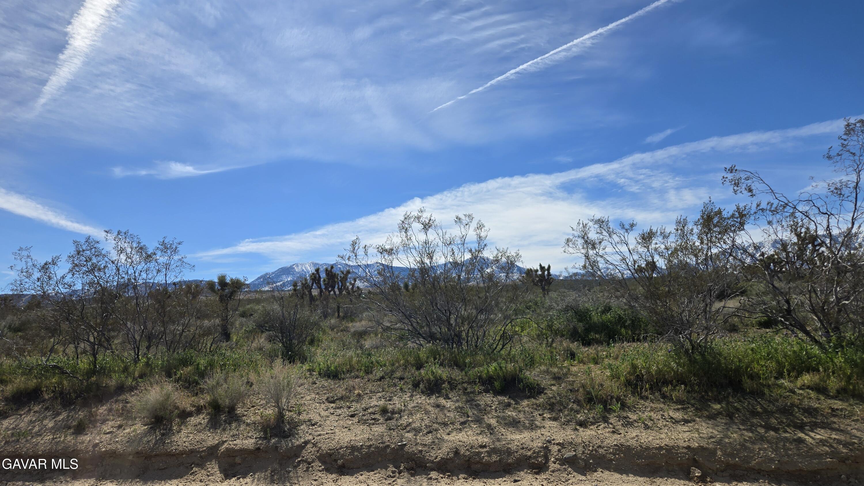Fort Tejon Road East Llano, CA 93544 - Photo 12 of 50 20260224_110301
