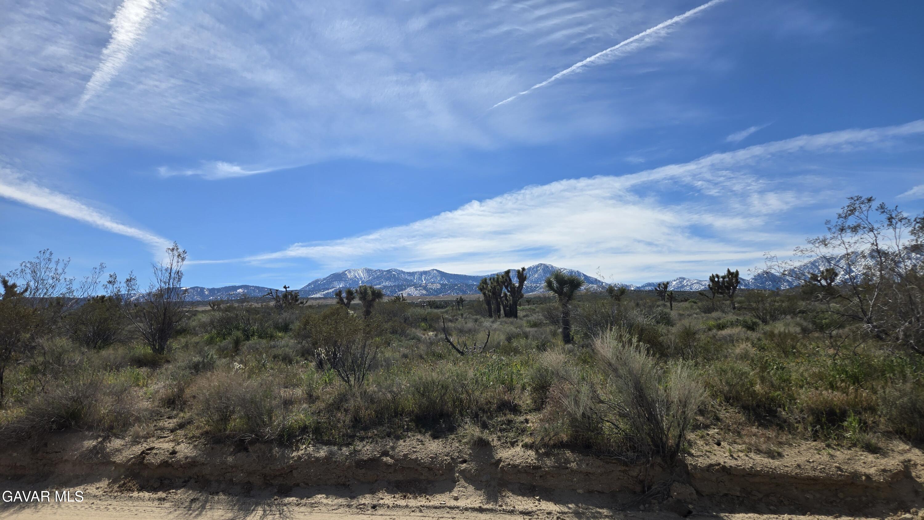 Fort Tejon Road East Llano, CA 93544 - Photo 13 of 50 20260224_110306