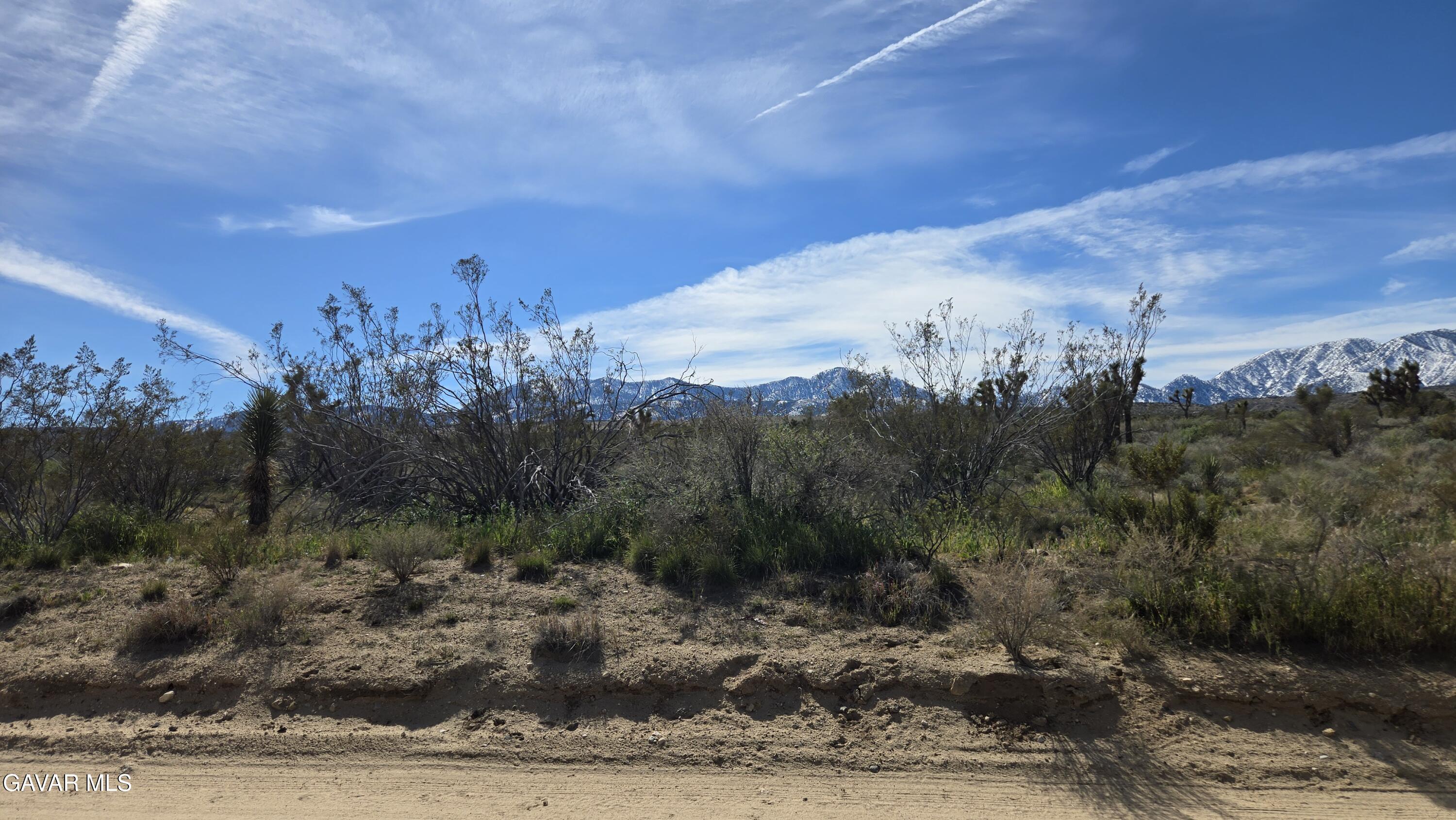 Fort Tejon Road East Llano, CA 93544 - Photo 14 of 50 20260224_110314