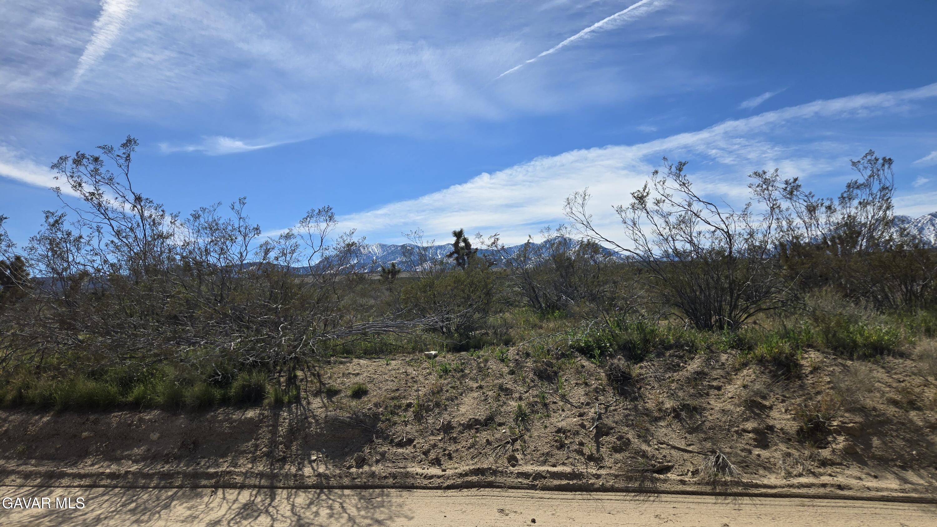 Fort Tejon Road East Llano, CA 93544 - Photo 15 of 50 20260224_110321
