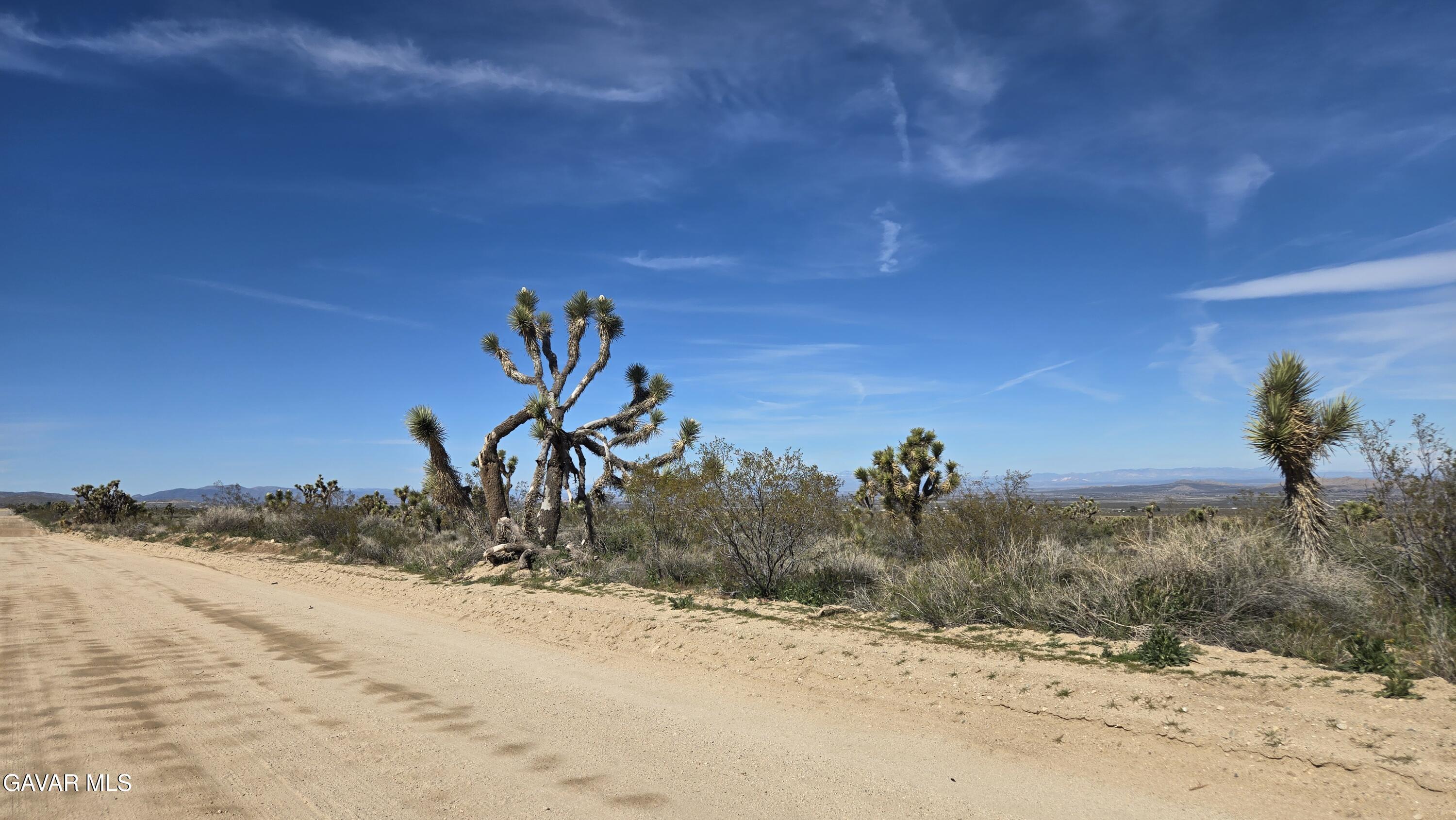 Fort Tejon Road East Llano, CA 93544 - Photo 16 of 50 20260224_110715