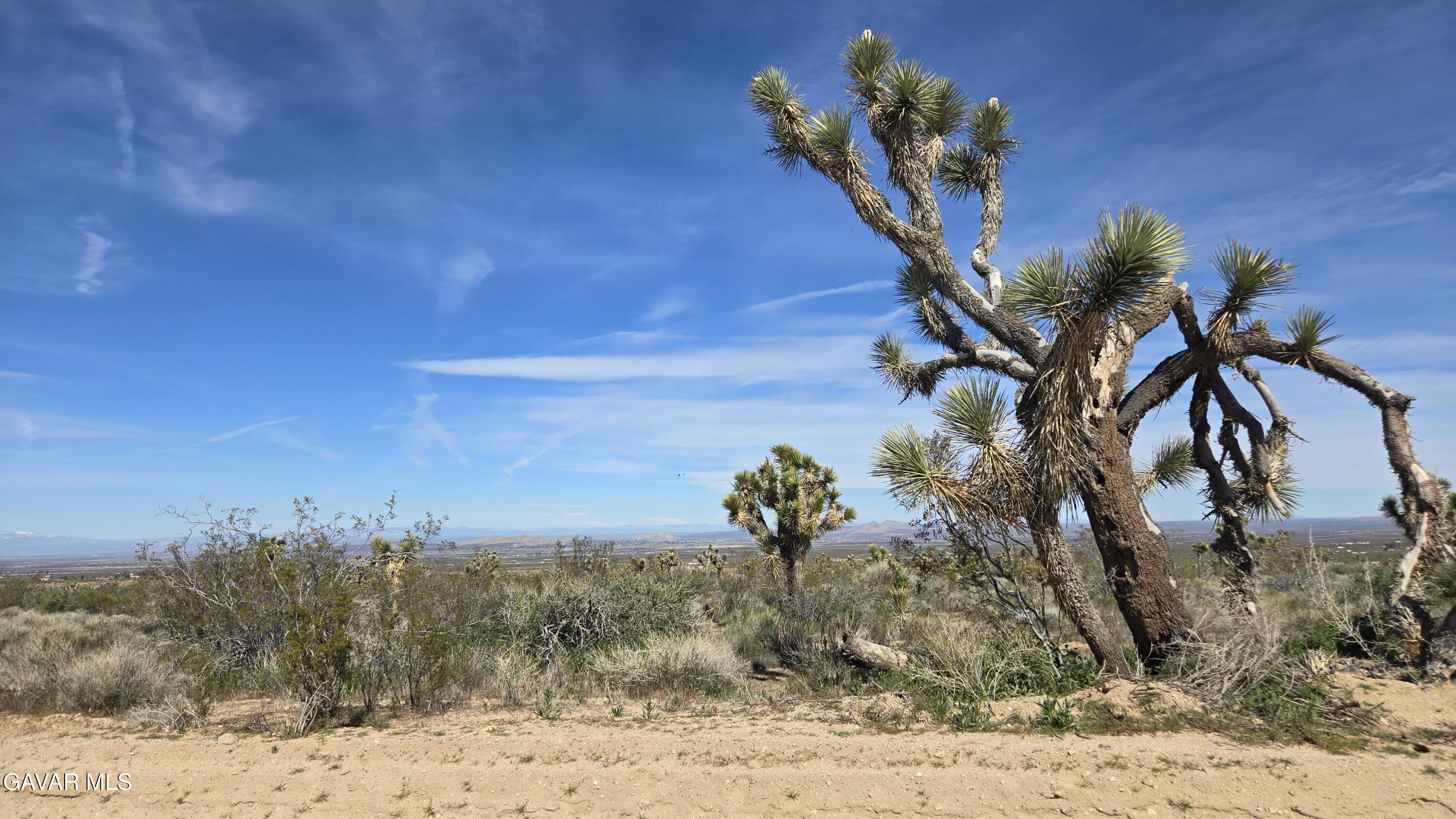 Fort Tejon Road East Llano, CA 93544 - Photo 17 of 50 20260224_110731