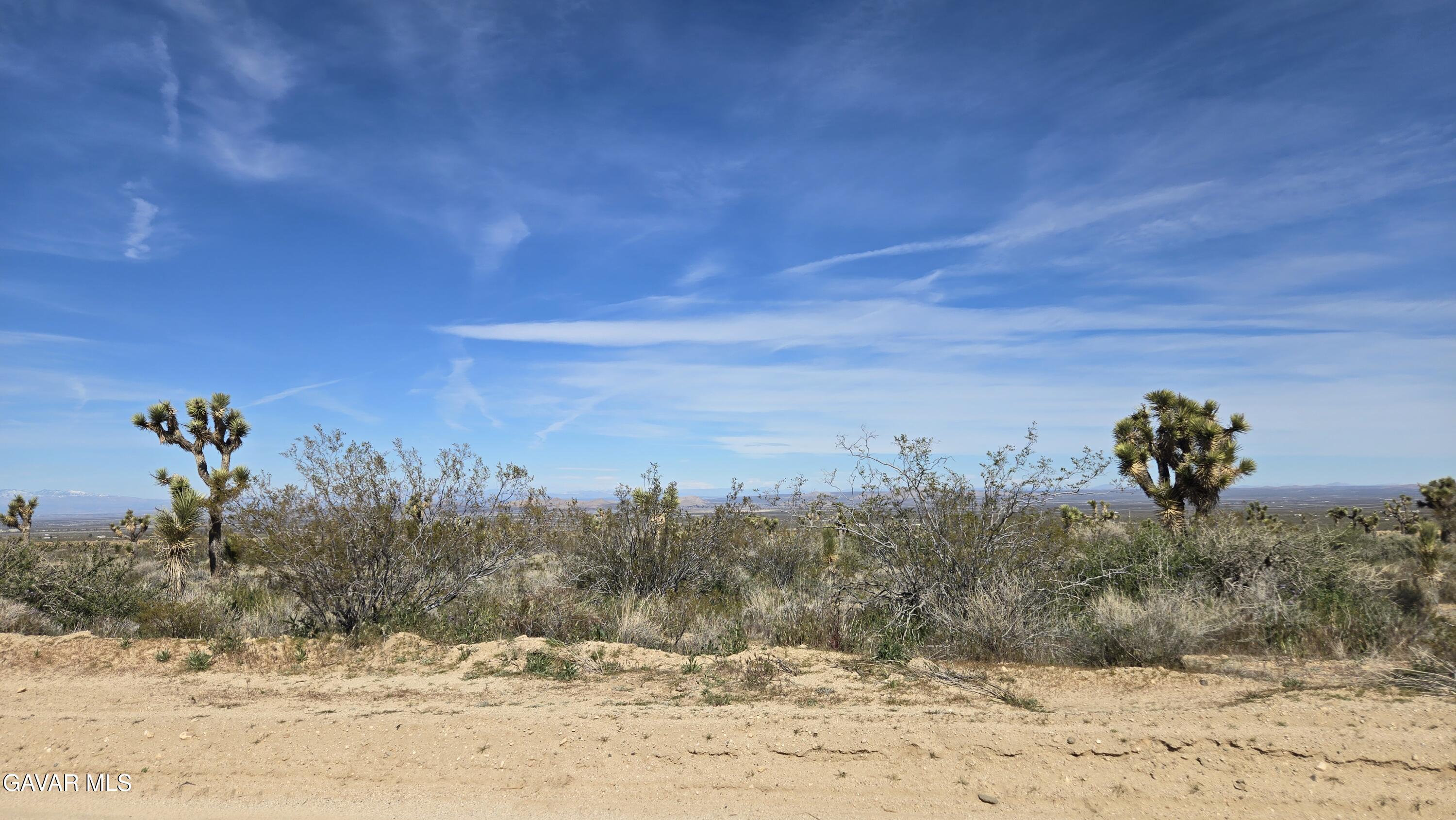 Fort Tejon Road East Llano, CA 93544 - Photo 18 of 50 20260224_110741