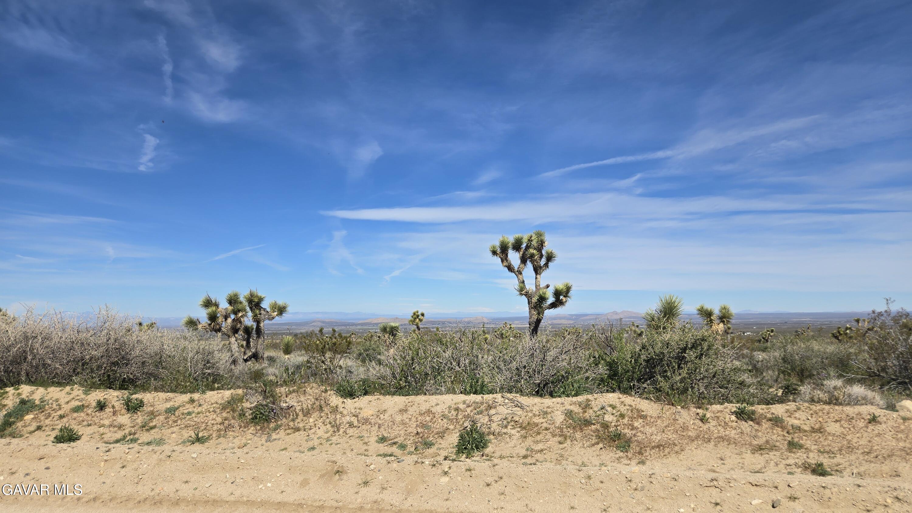 Fort Tejon Road East Llano, CA 93544 - Photo 19 of 50 20260224_110750