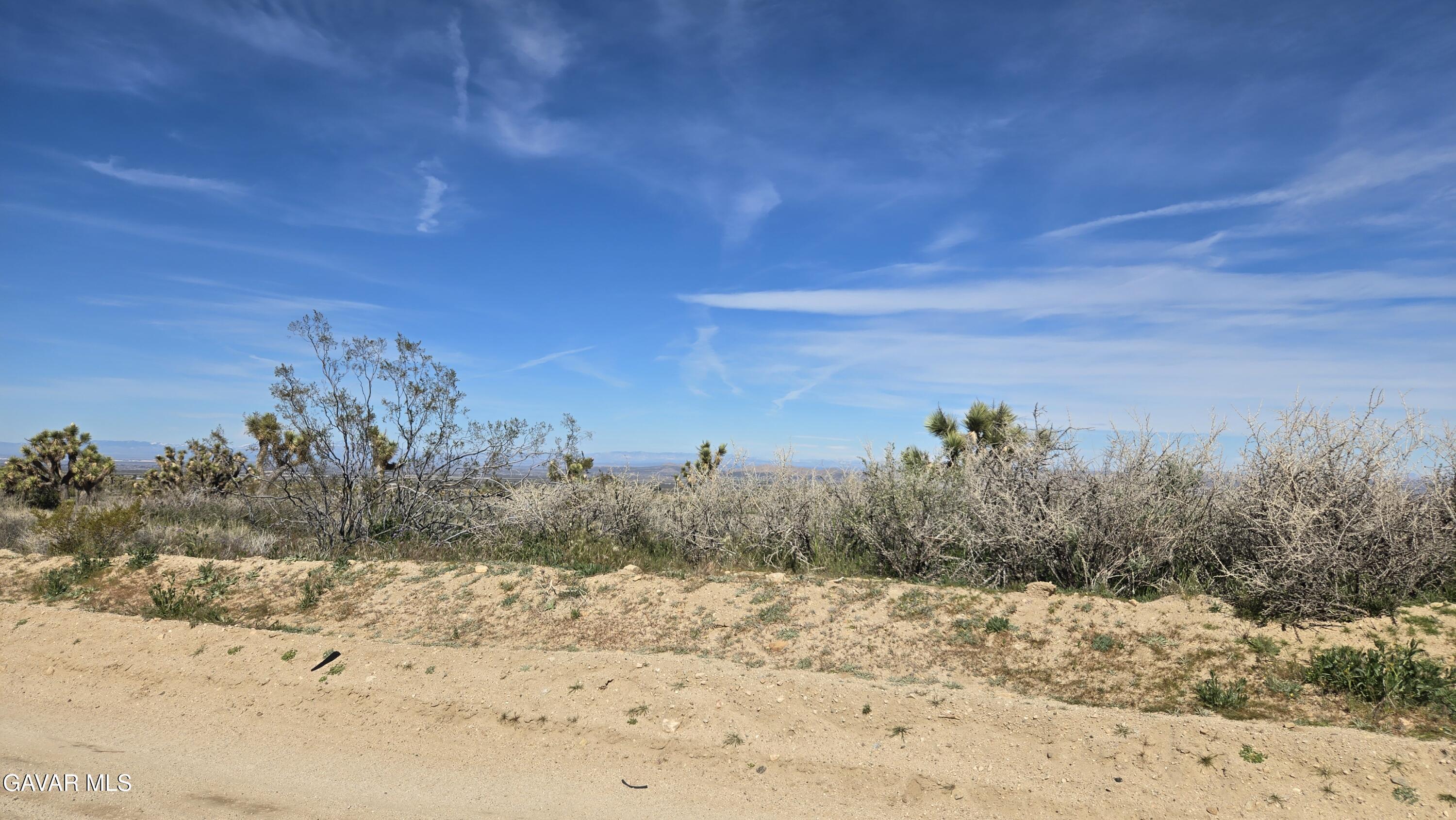 Fort Tejon Road East Llano, CA 93544 - Photo 21 of 50 20260224_110800