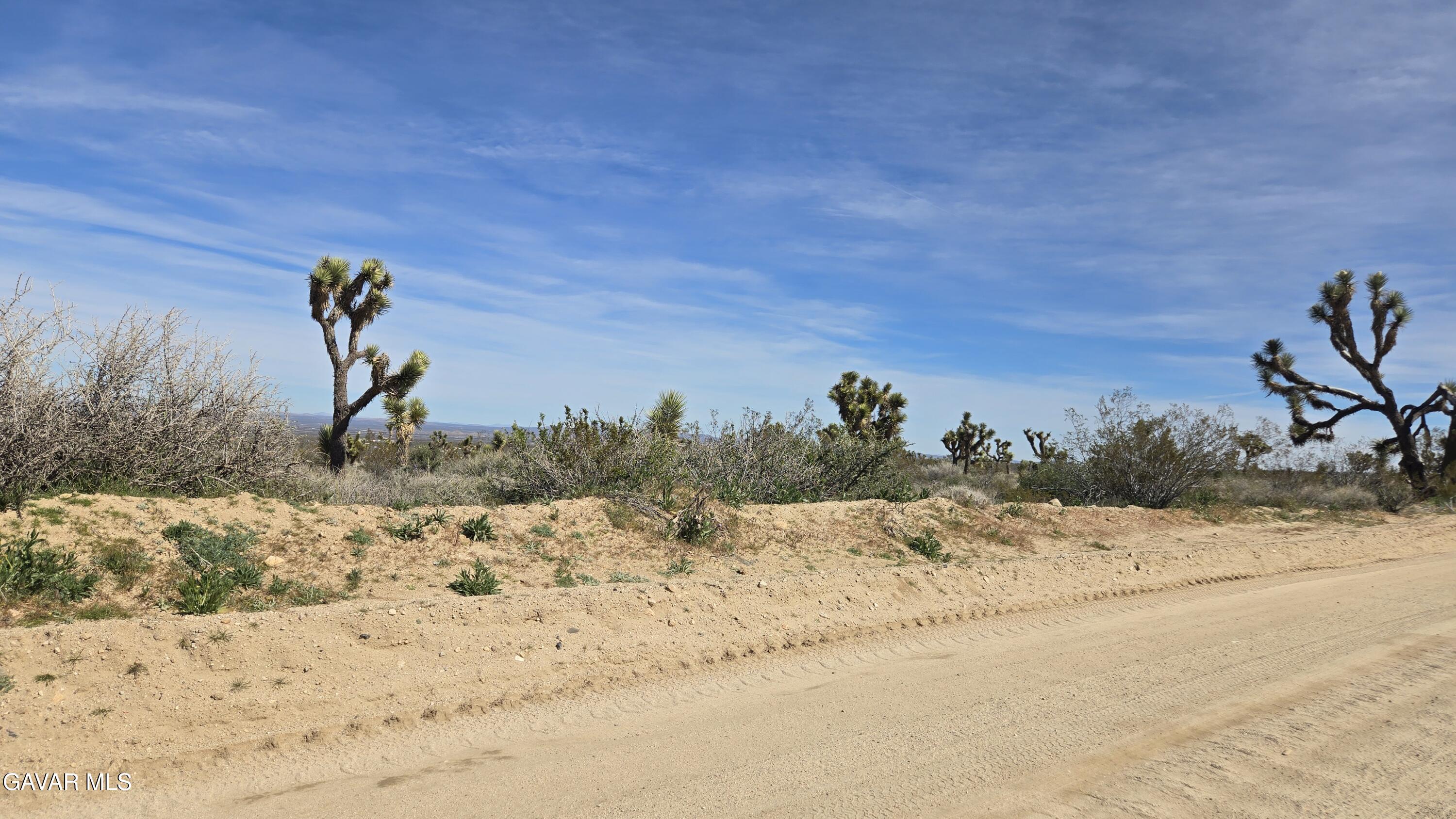 Fort Tejon Road East Llano, CA 93544 - Photo 23 of 50 20260224_110806