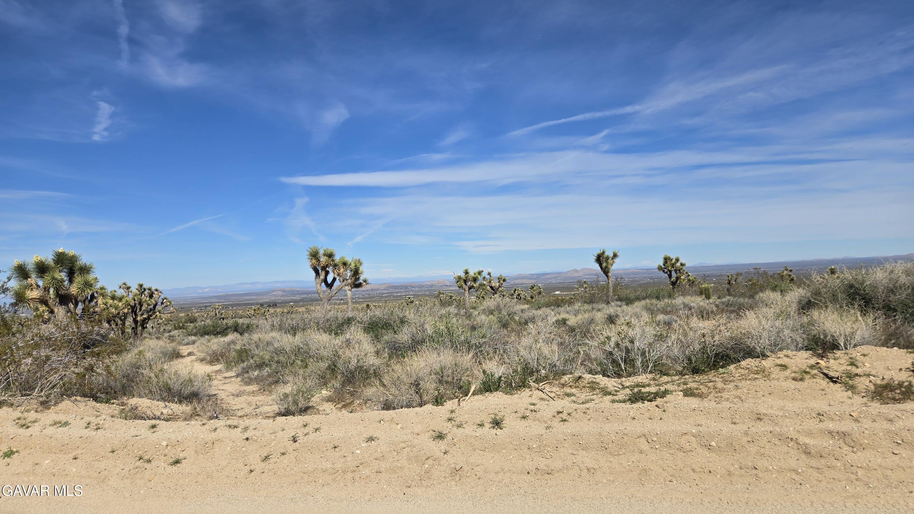 Fort Tejon Road East Llano, CA 93544 - Photo 25 of 50 20260224_110825