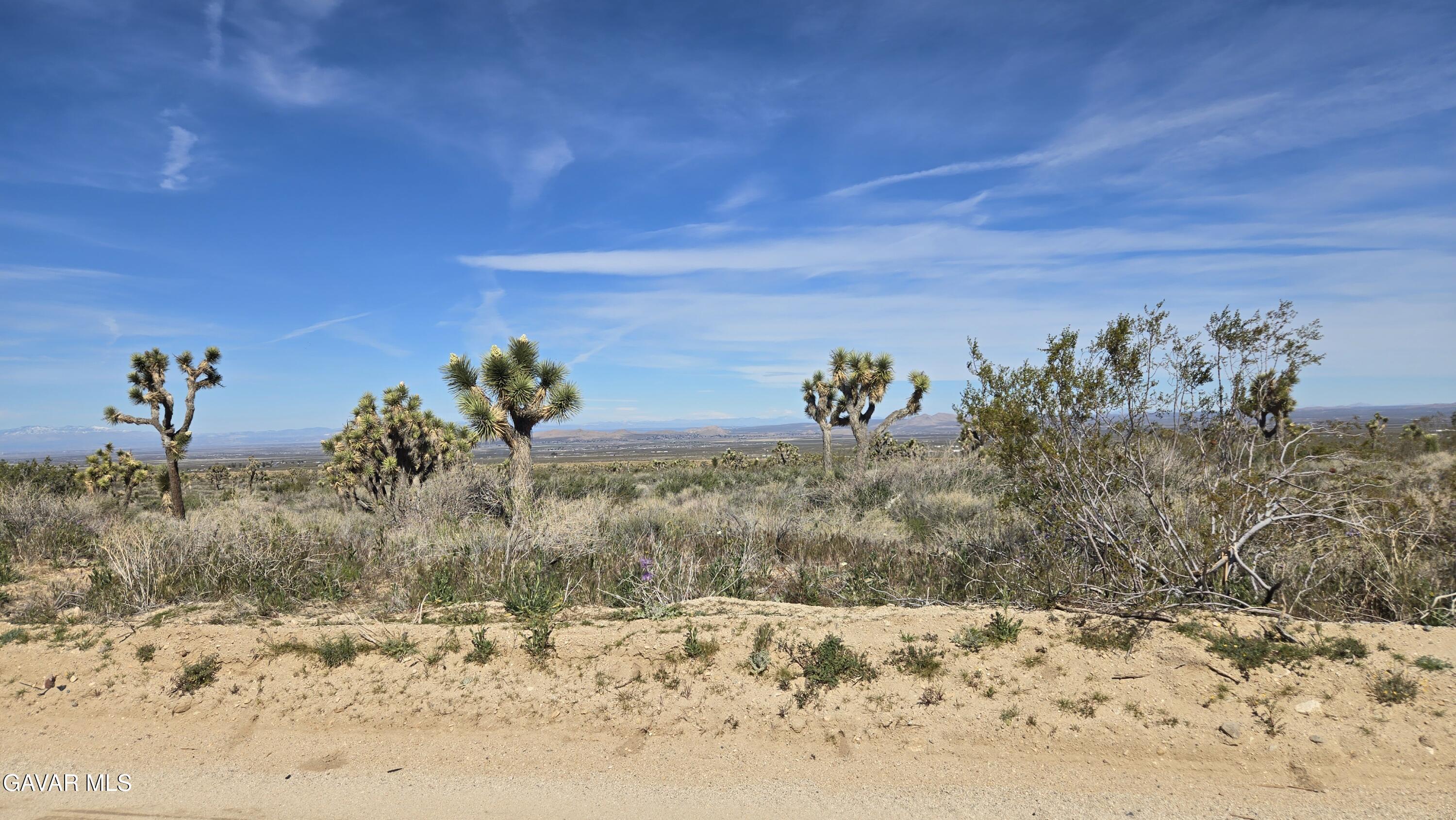 Fort Tejon Road East Llano, CA 93544 - Photo 26 of 50 20260224_110832