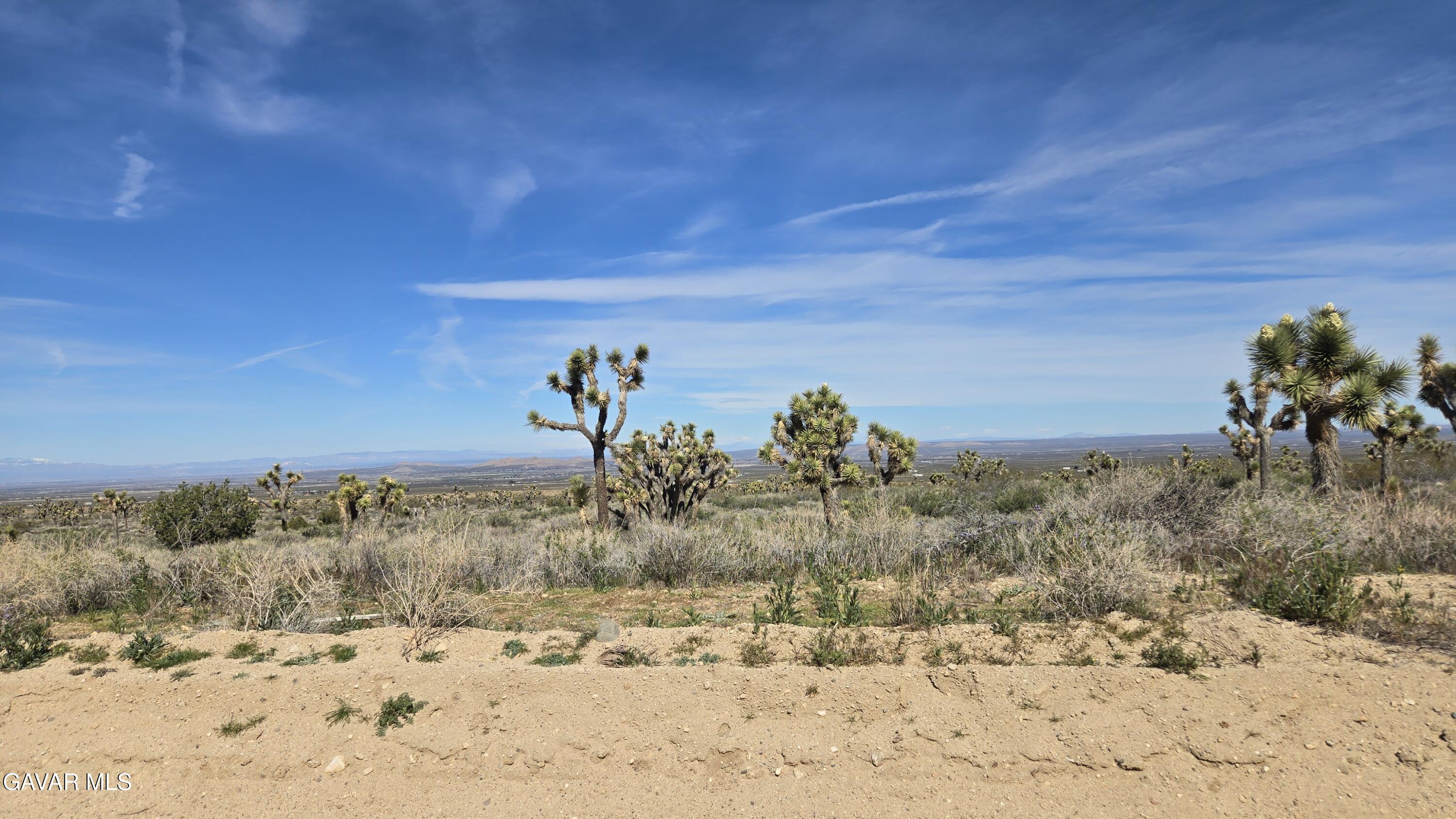 Fort Tejon Road East Llano, CA 93544 - Photo 27 of 50 20260224_110846