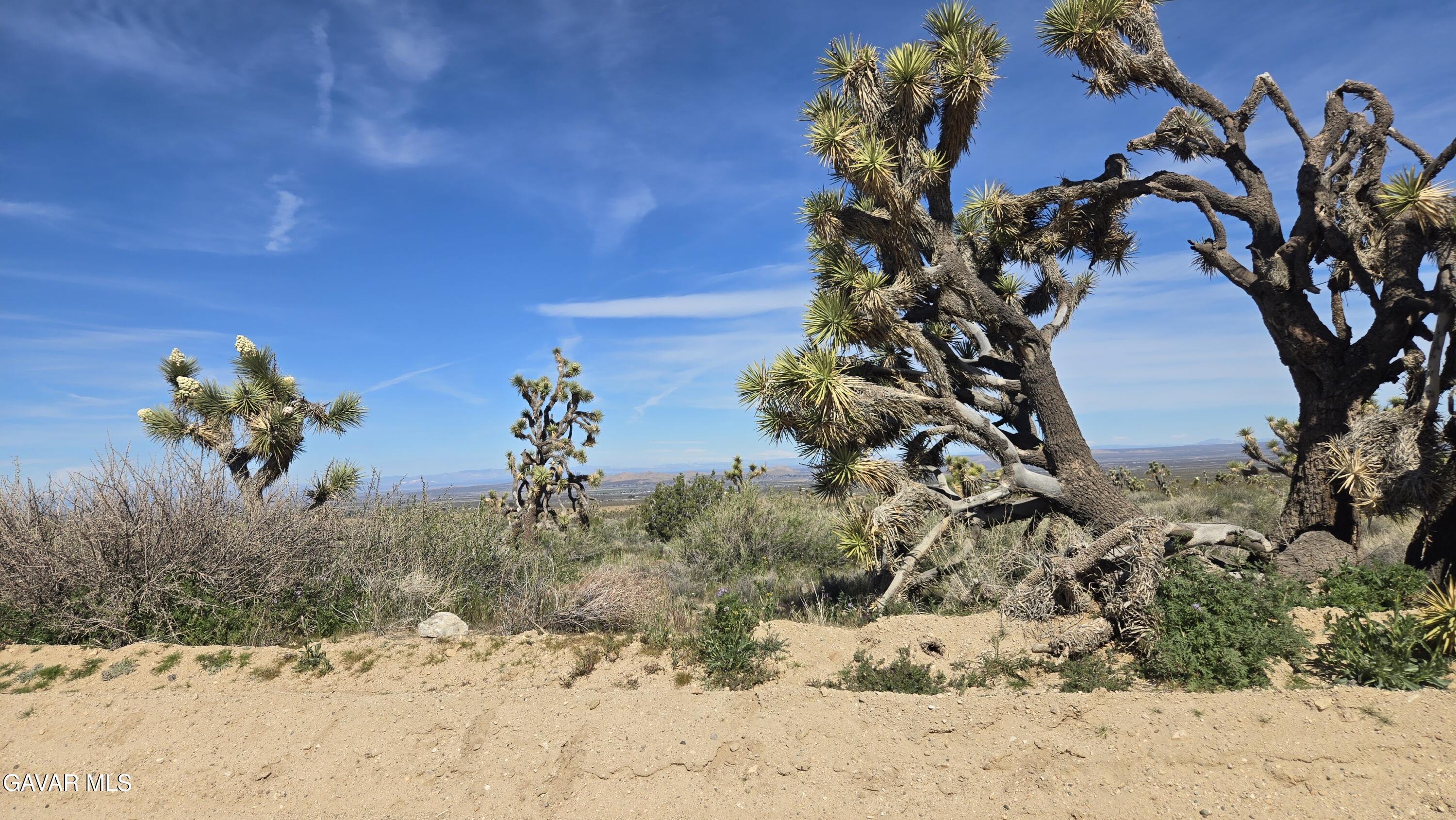 Fort Tejon Road East Llano, CA 93544 - Photo 28 of 50 20260224_110904