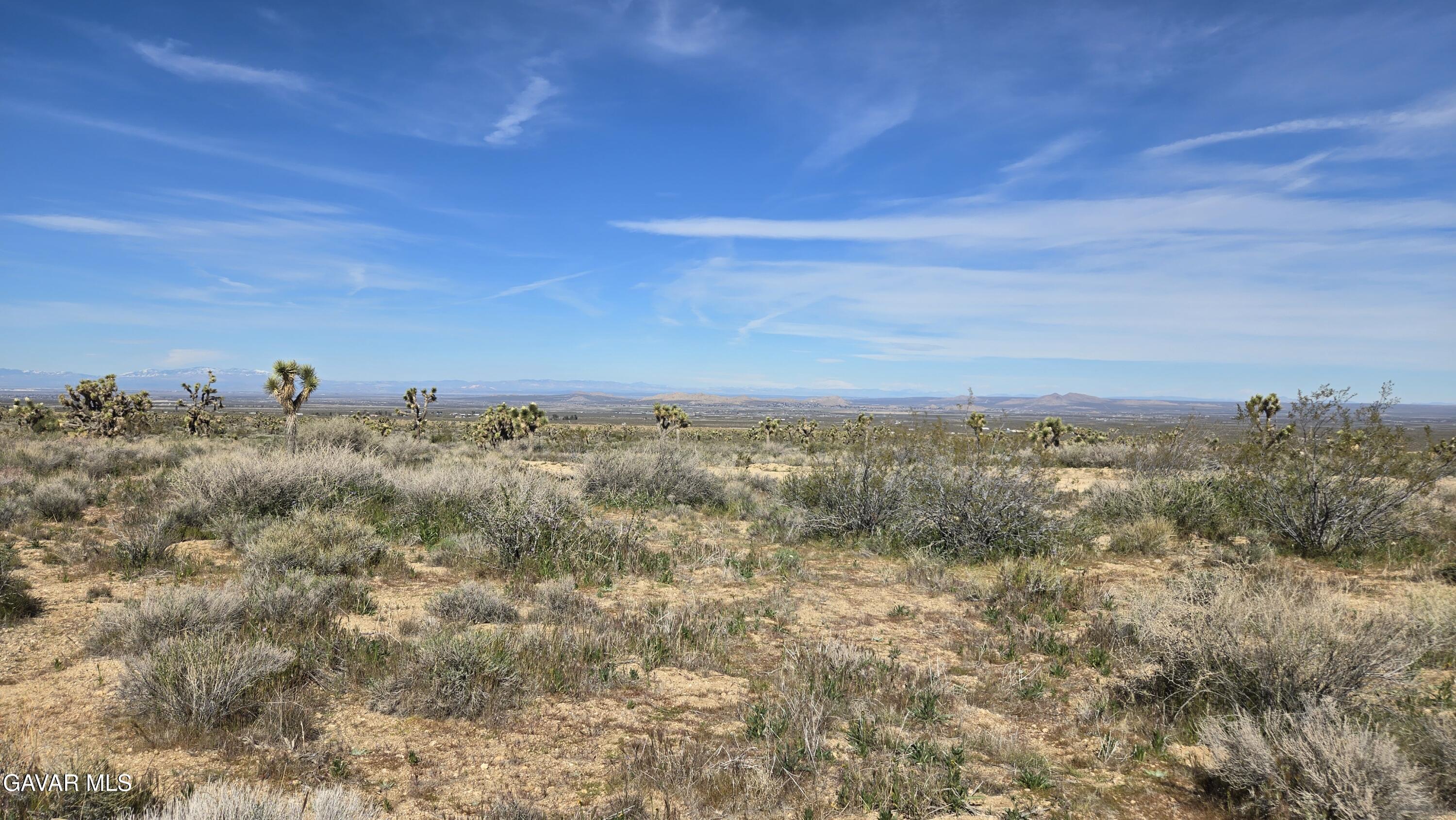Fort Tejon Road East Llano, CA 93544 - Photo 30 of 50 20260224_111404