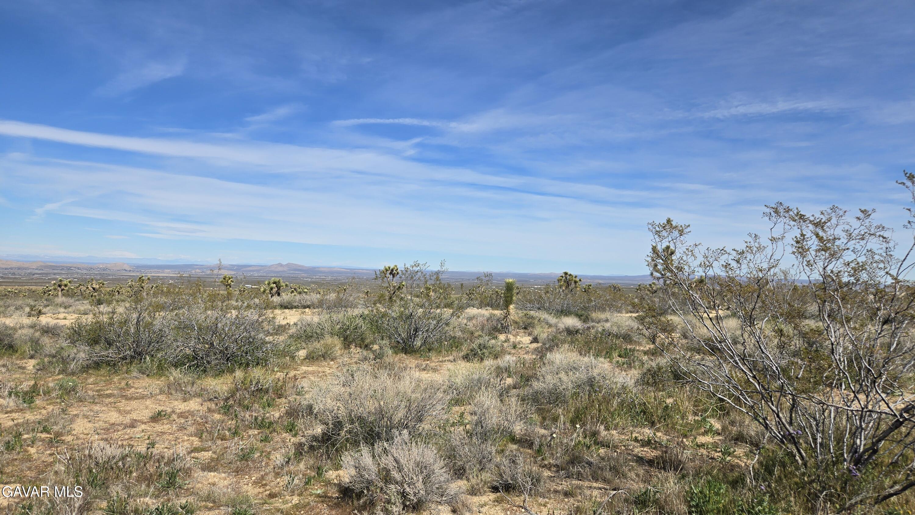 Fort Tejon Road East Llano, CA 93544 - Photo 31 of 50 20260224_111407