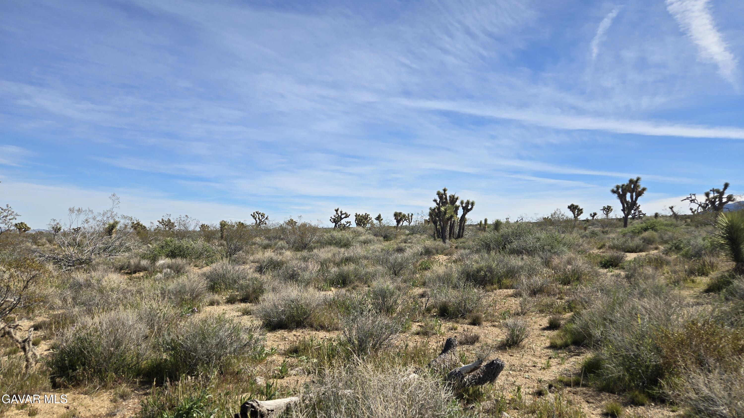 Fort Tejon Road East Llano, CA 93544 - Photo 33 of 50 20260224_111411