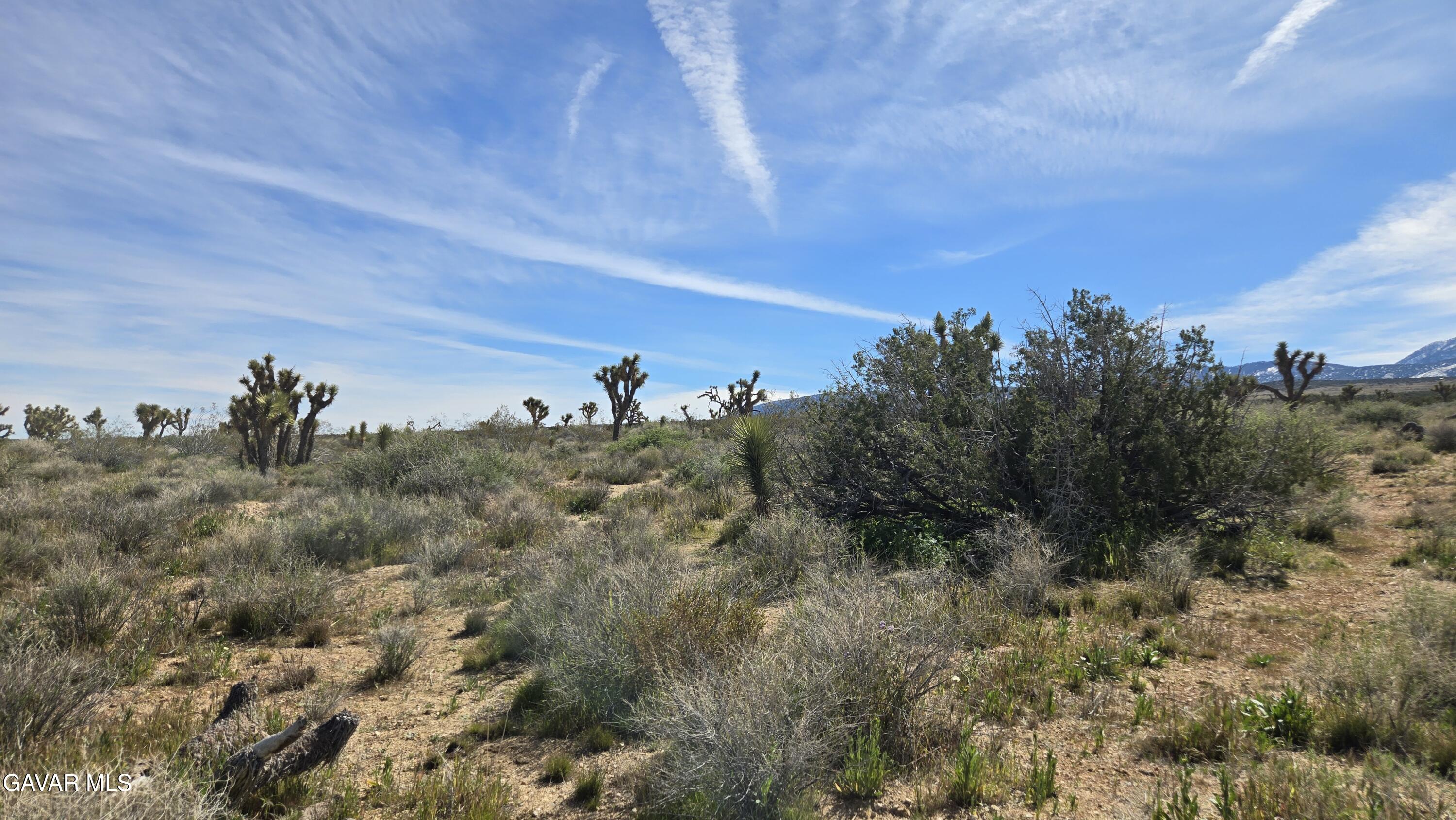 Fort Tejon Road East Llano, CA 93544 - Photo 34 of 50 20260224_111412