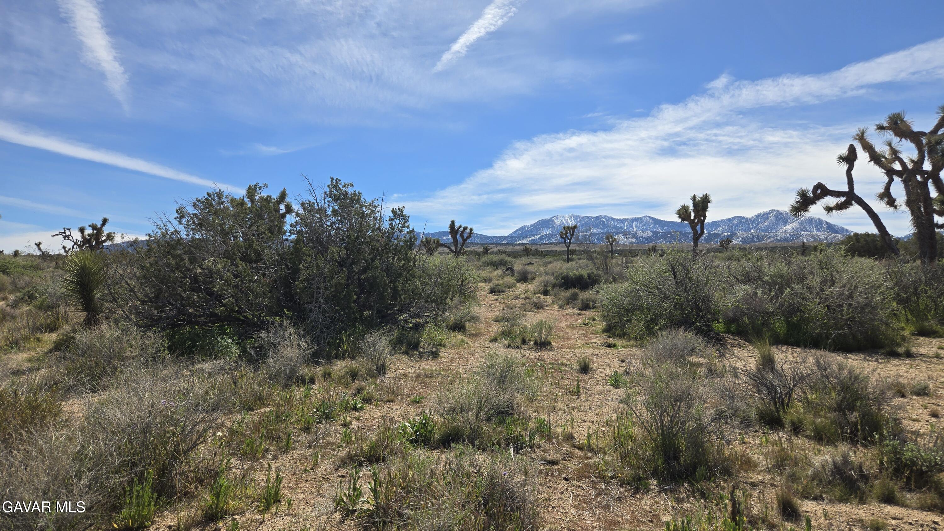 Fort Tejon Road East Llano, CA 93544 - Photo 35 of 50 20260224_111414