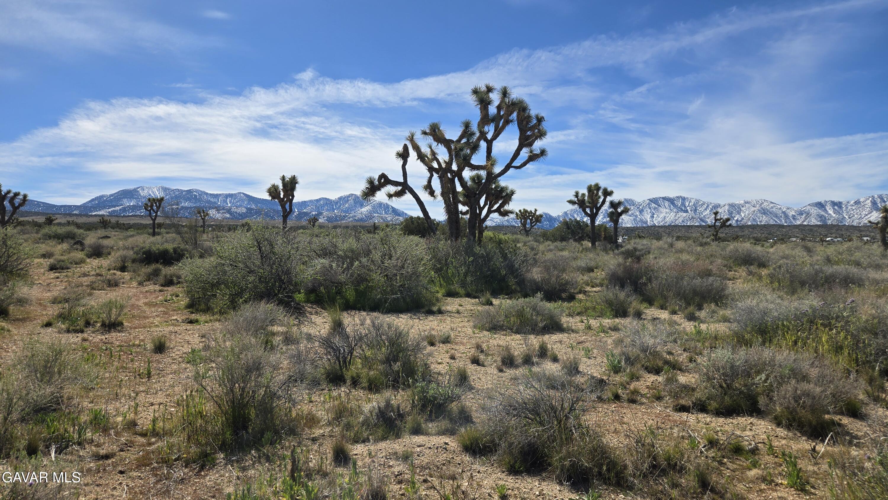 Fort Tejon Road East Llano, CA 93544 - Photo 36 of 50 20260224_111416