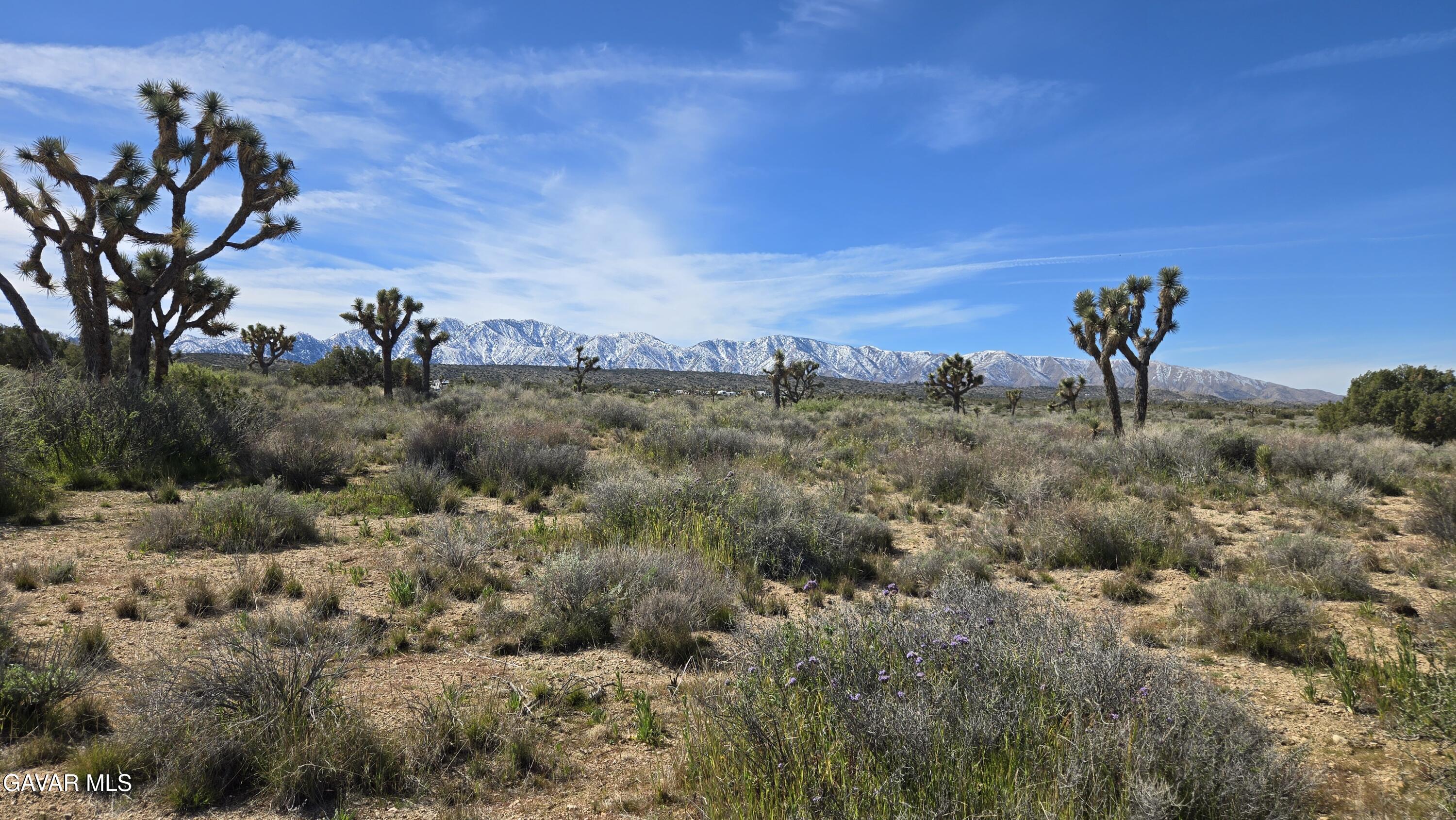 Fort Tejon Road East Llano, CA 93544 - Photo 37 of 50 20260224_111417