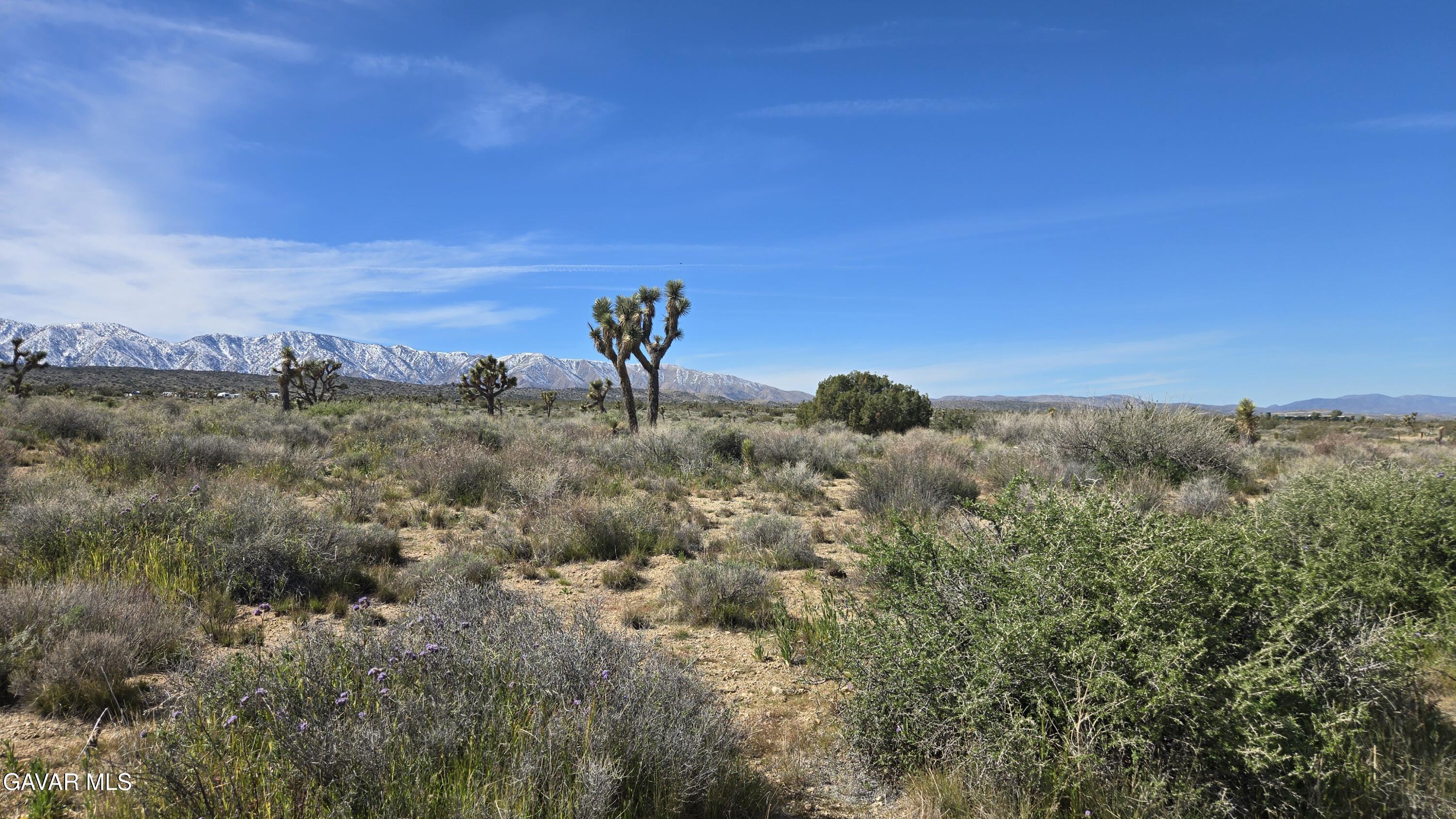 Fort Tejon Road East Llano, CA 93544 - Photo 38 of 50 20260224_111419