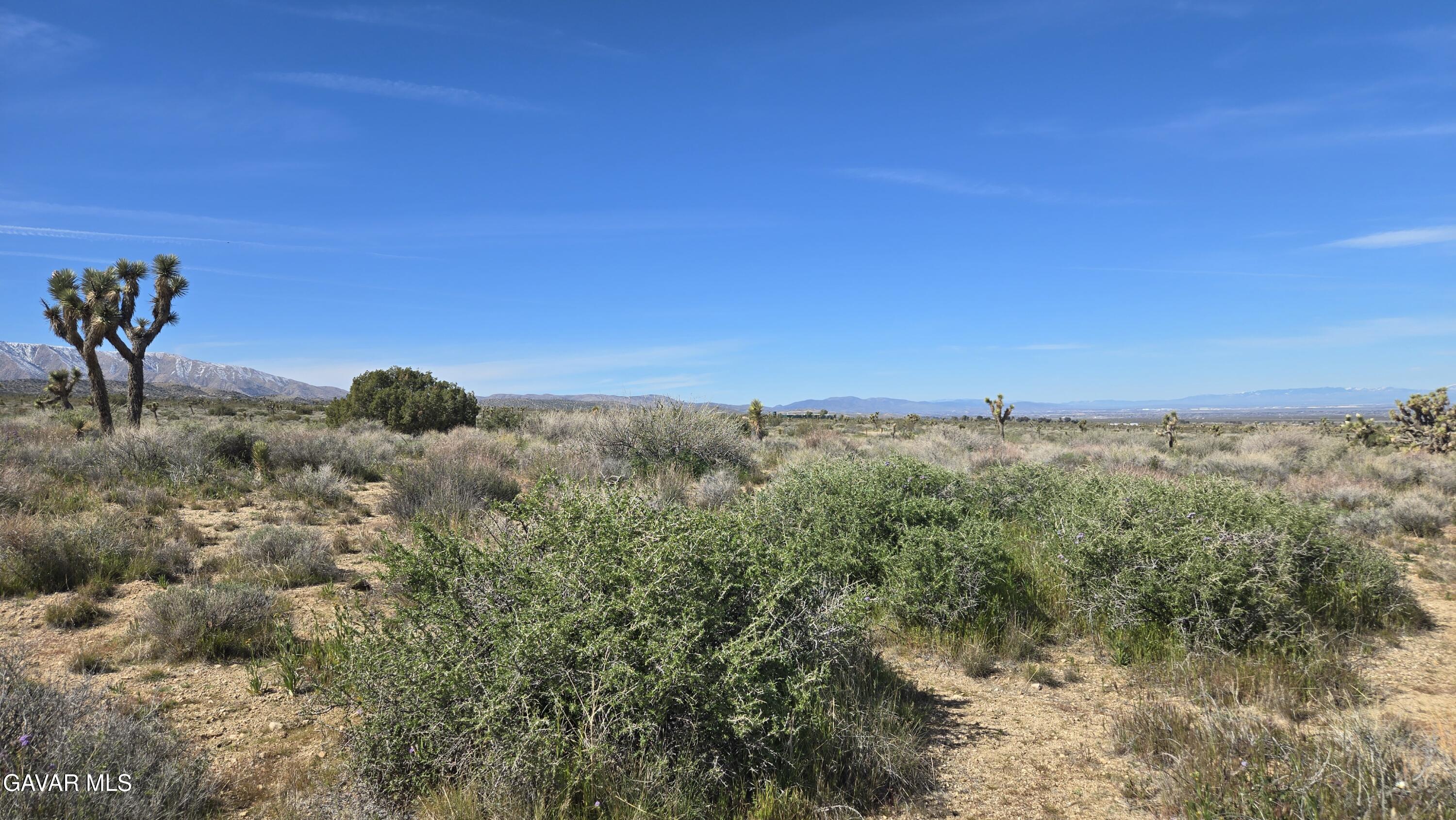 Fort Tejon Road East Llano, CA 93544 - Photo 39 of 50 20260224_111421