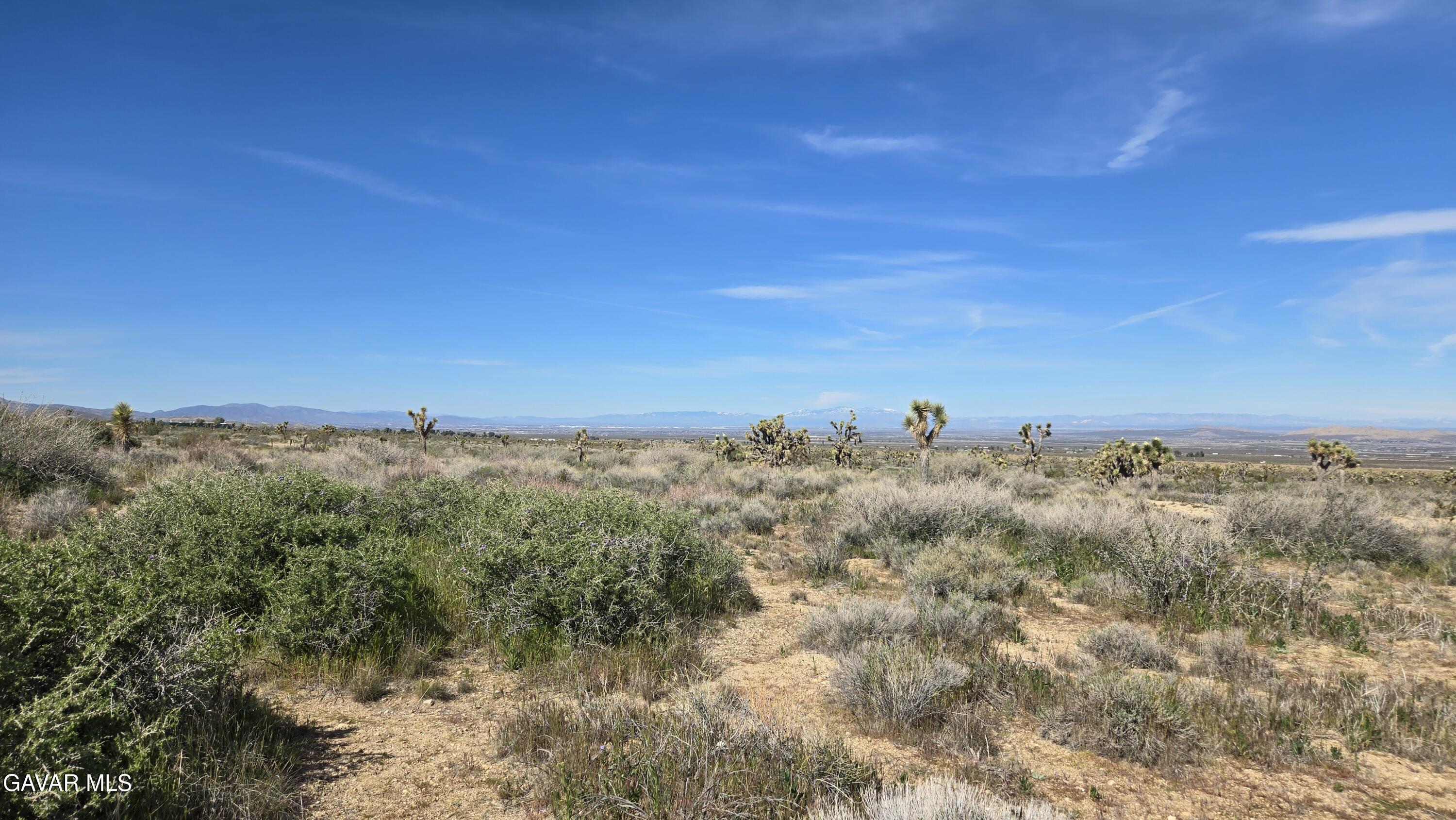 Fort Tejon Road East Llano, CA 93544 - Photo 40 of 50 20260224_111423
