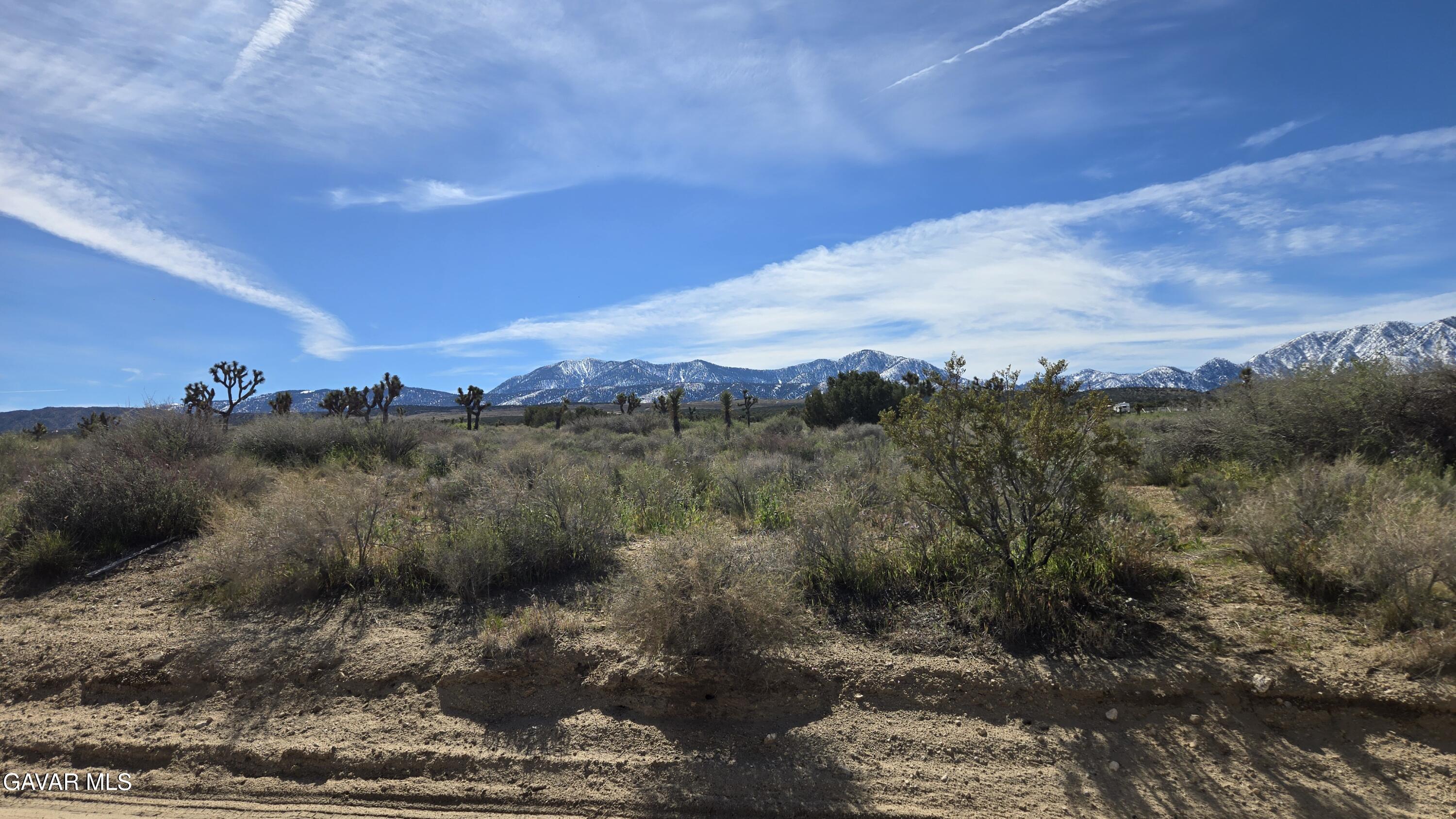 Fort Tejon Road East Llano, CA 93544 - Photo 4 of 50 20260224_110103
