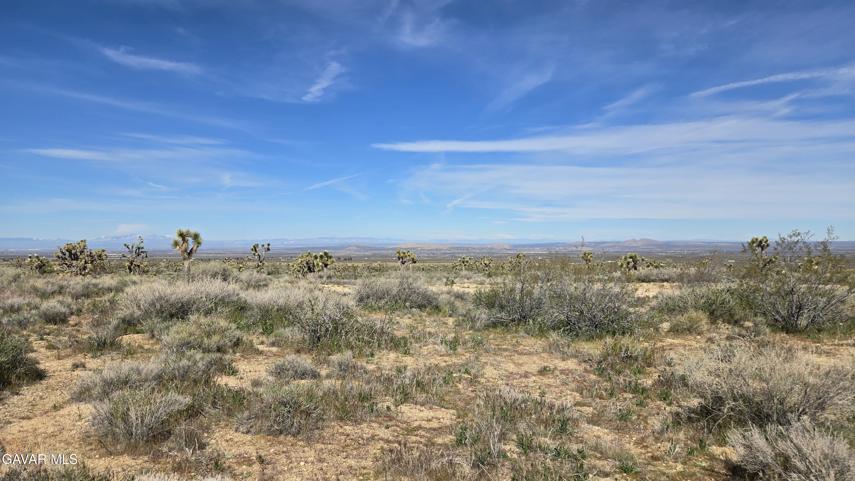 Fort Tejon Road East Llano, CA 93544 - Photo 41 of 50 20260224_111426